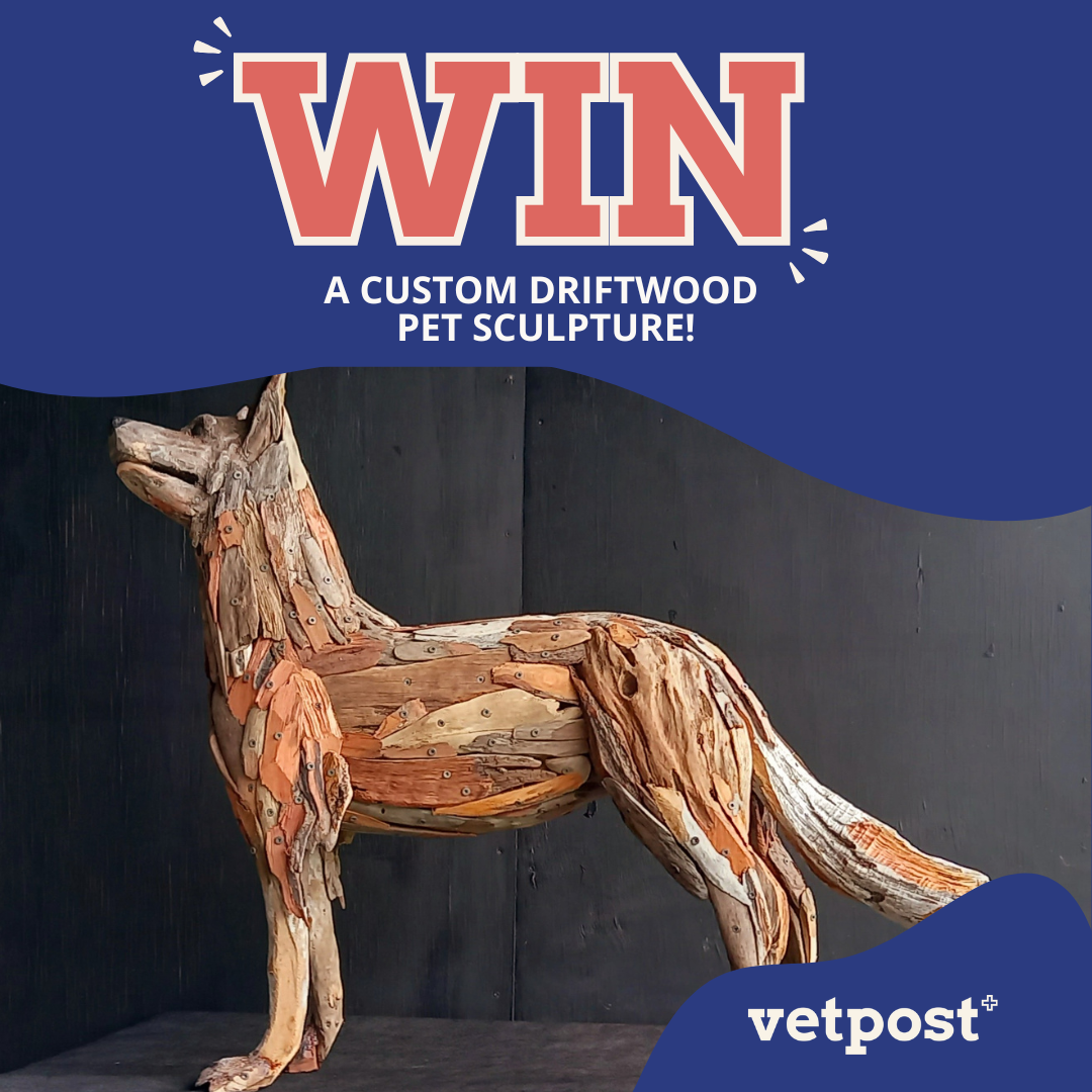 Vetpost Facebook ad: WIN a personalised pet sculpture!