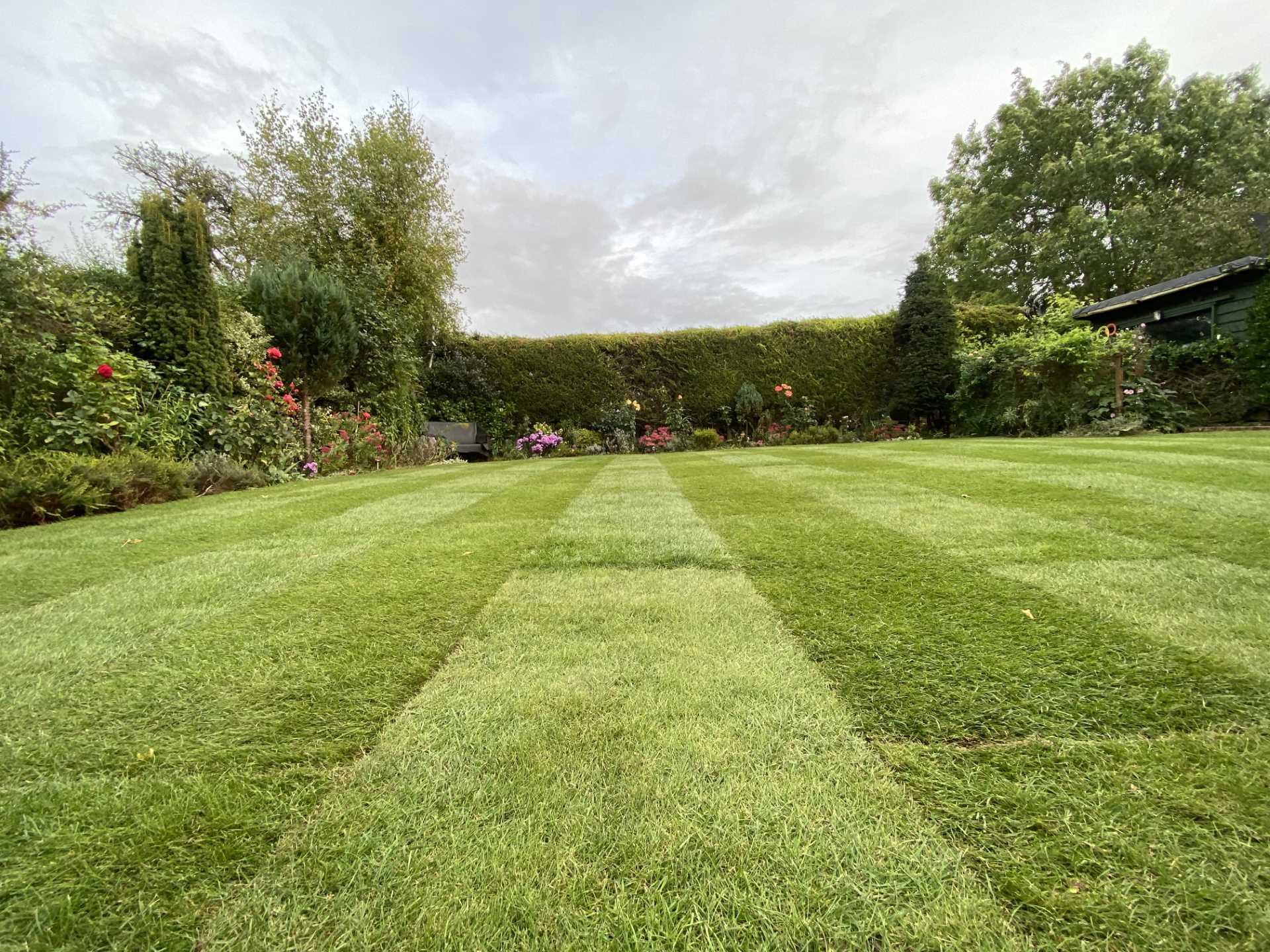 Mow & Grow Complete Lawn Care Facebook ad: Home - Mow and Grow Lawn Care
