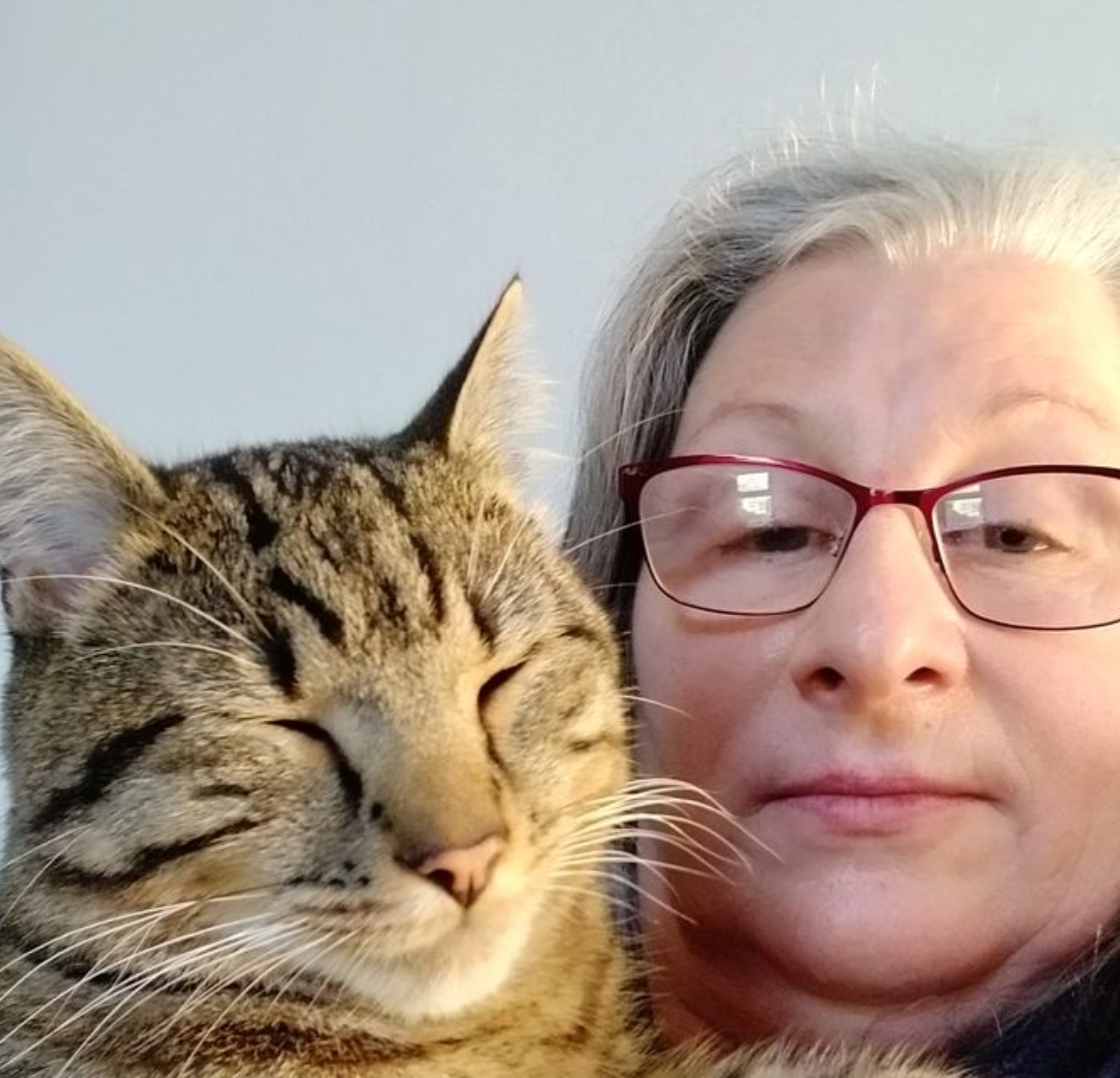 Vet approved products Facebook ad
