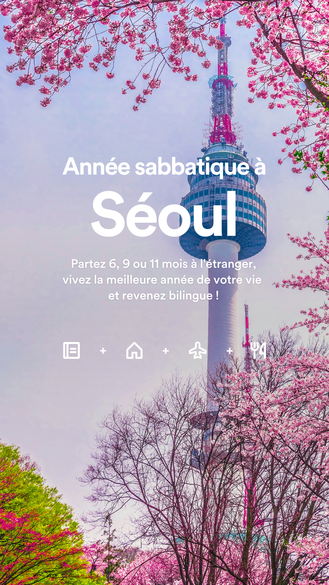 EF Belgique - Séjour Linguistique Facebook ad from Oct 28, 2025