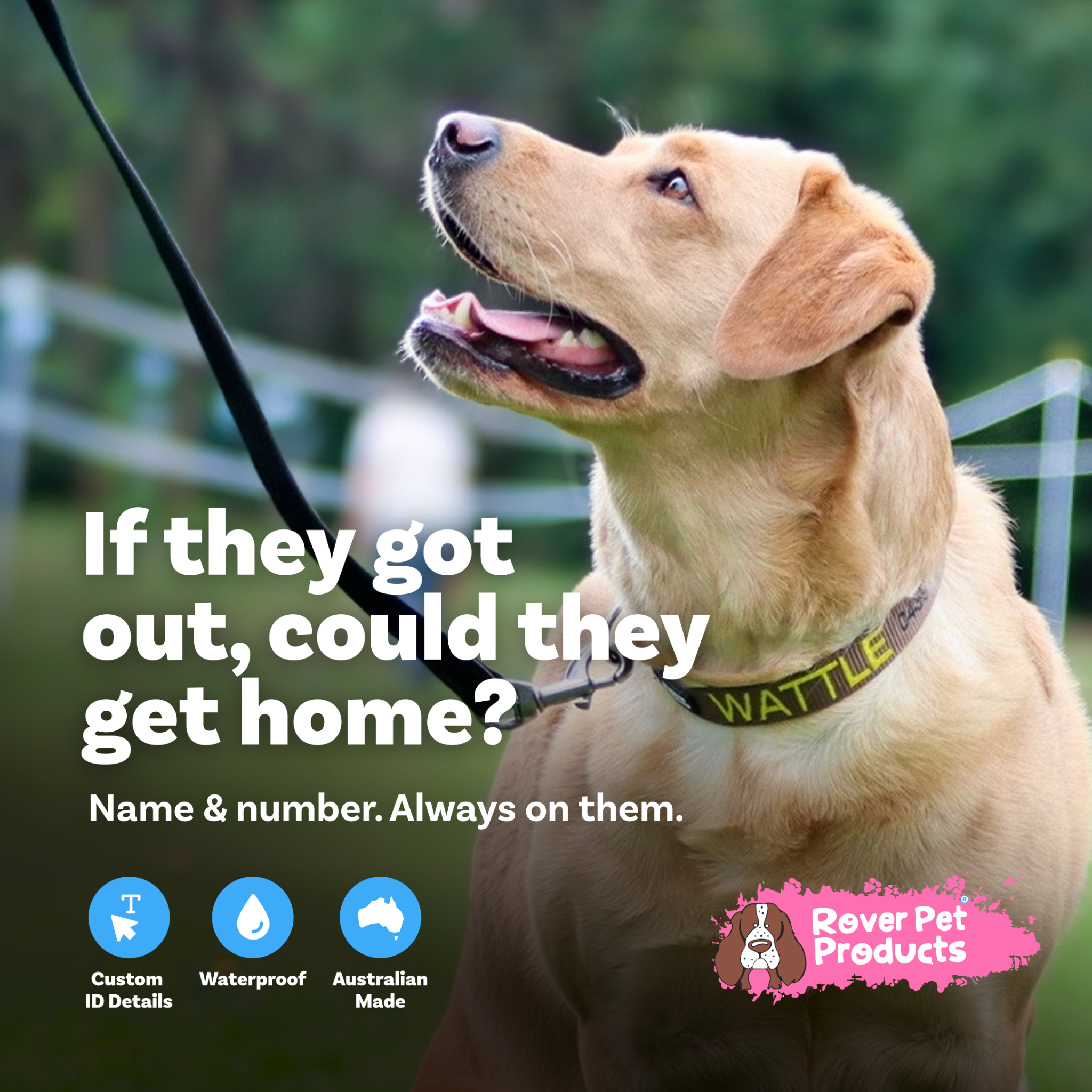 Rover Pet Products Facebook ad