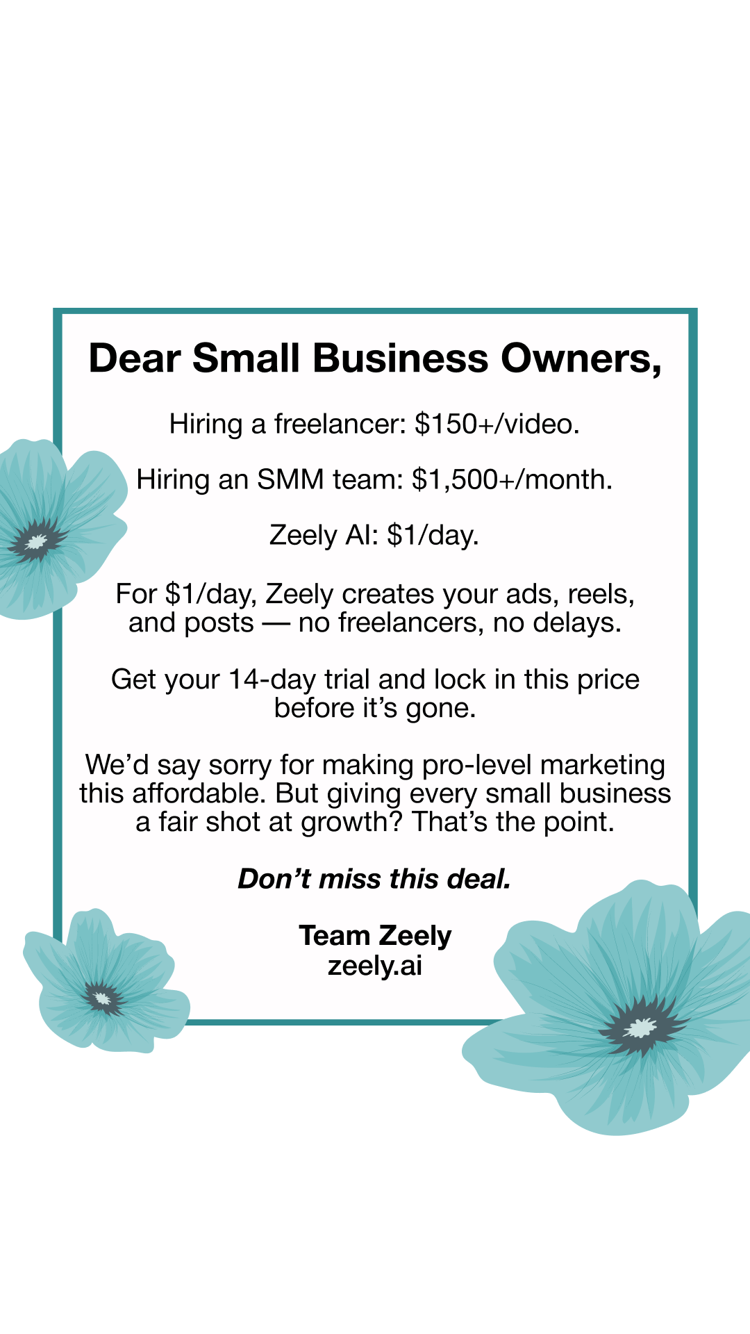 Zeely Facebook ad