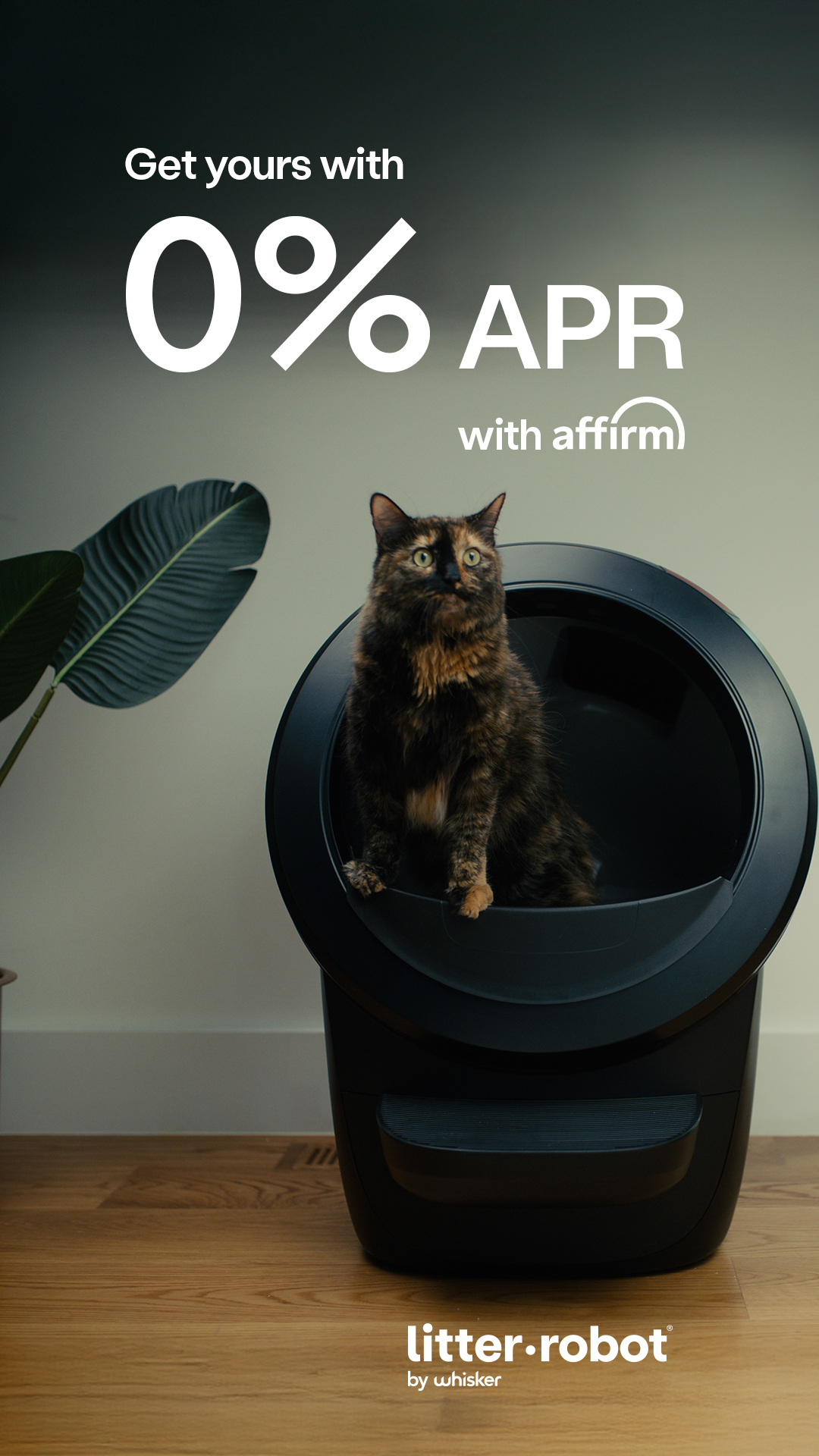 Litter-Robot by Whisker Facebook ad