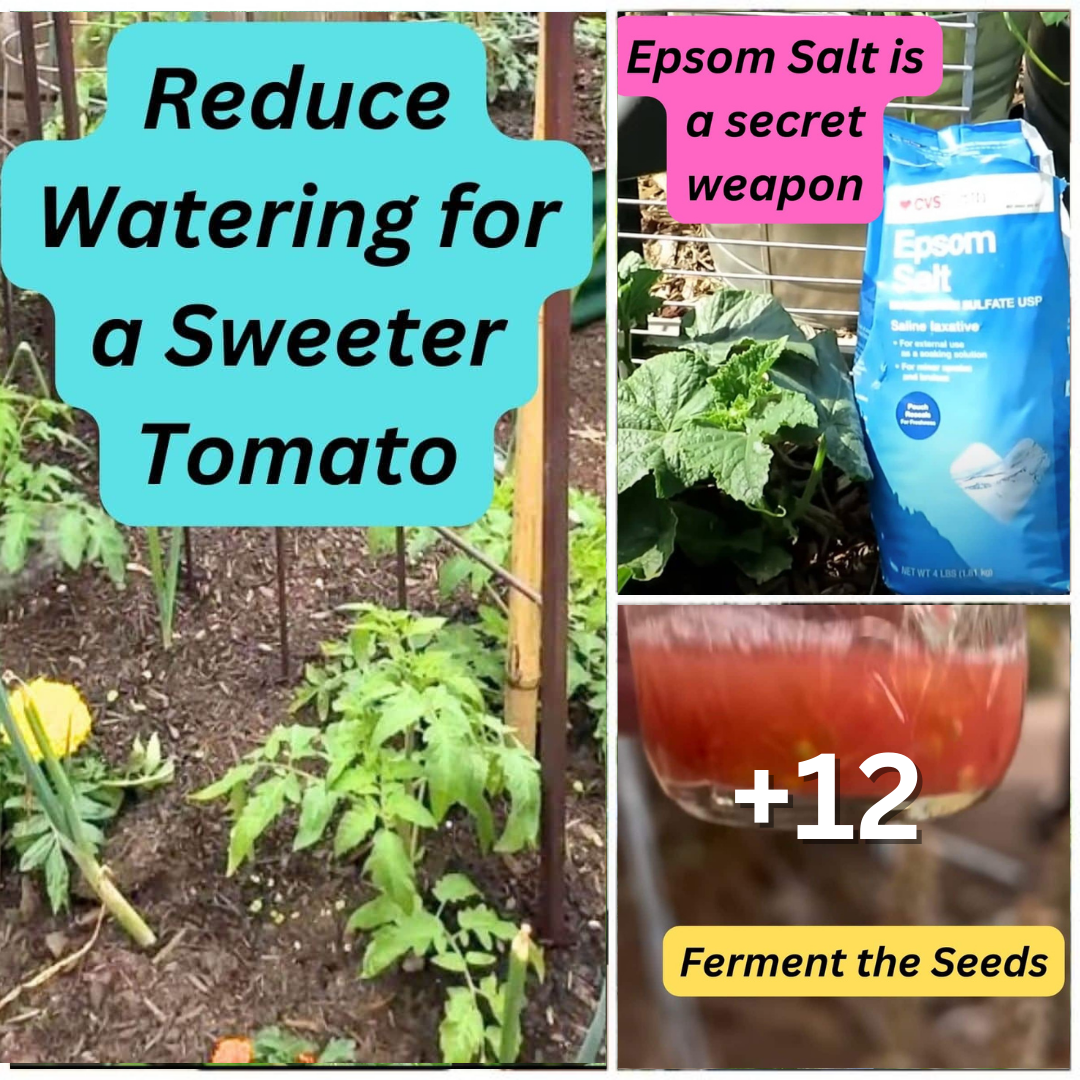 Gardening Wins Facebook ad