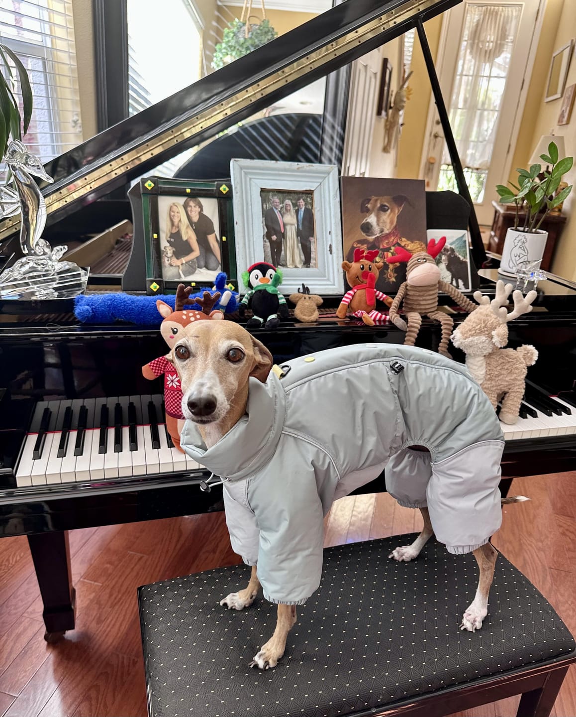 Pawelier Facebook ad: Performance Meets Style