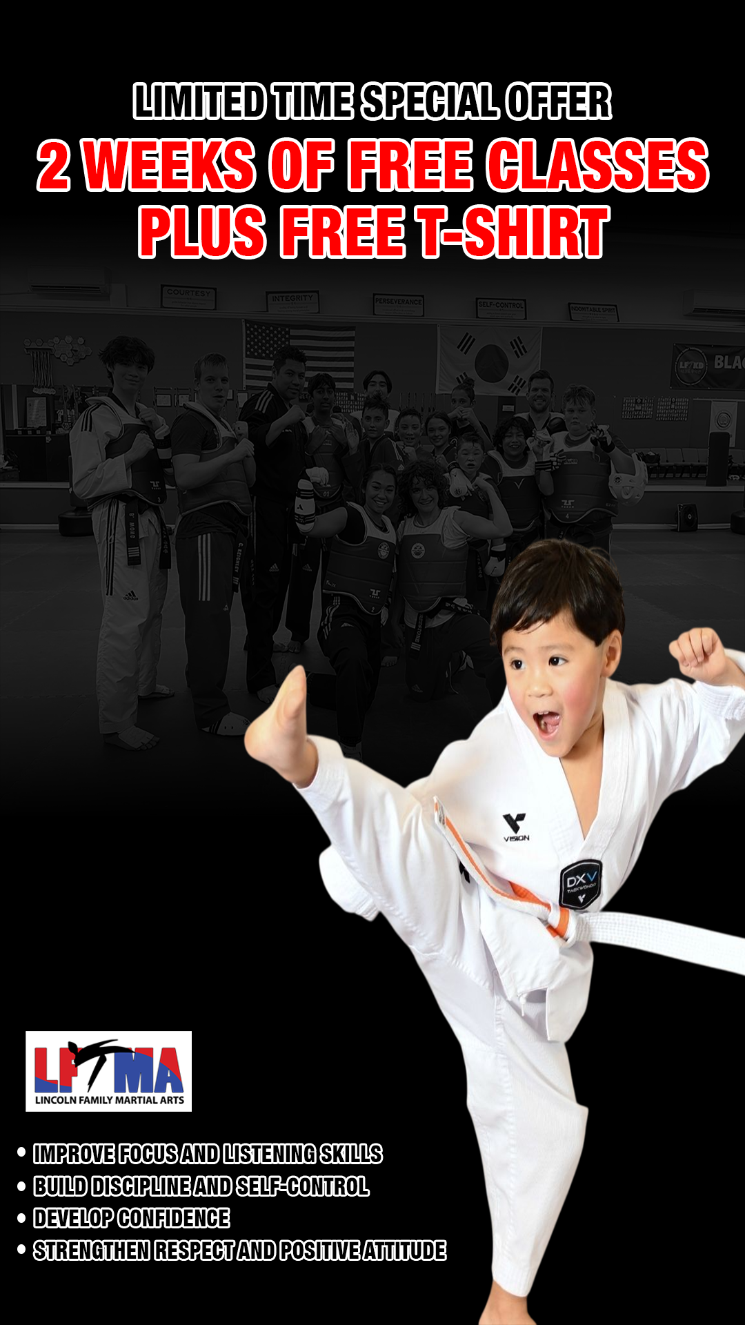 Lincoln Family Martial Arts Academy Facebook ad