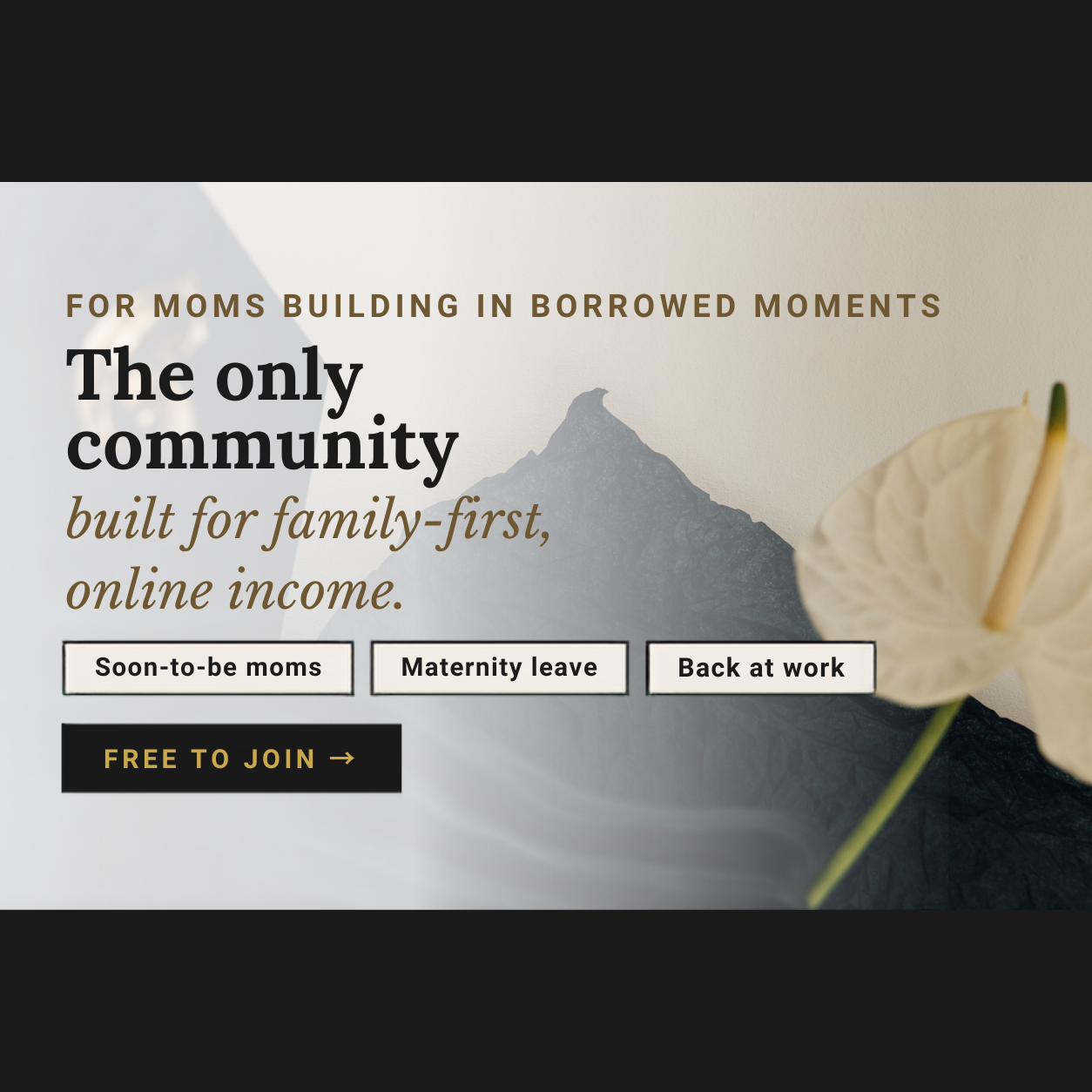 The Complete Business Facebook ad: Experts, community, and a clear path. Free to join.