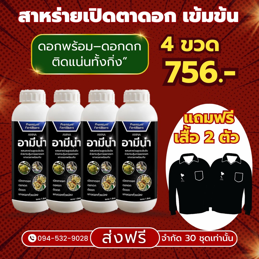 อามีน่า Amina ส่าหร่ายอะมิโน เปิดตาดอกทุเรียนสูตรพรีเมี่ยม มืออาชีพเลือกใช้ Facebook ad