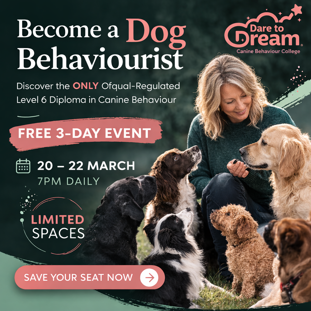 The Canine Behaviour College Facebook ad: Turn Your Passion for Dogs Into a Career