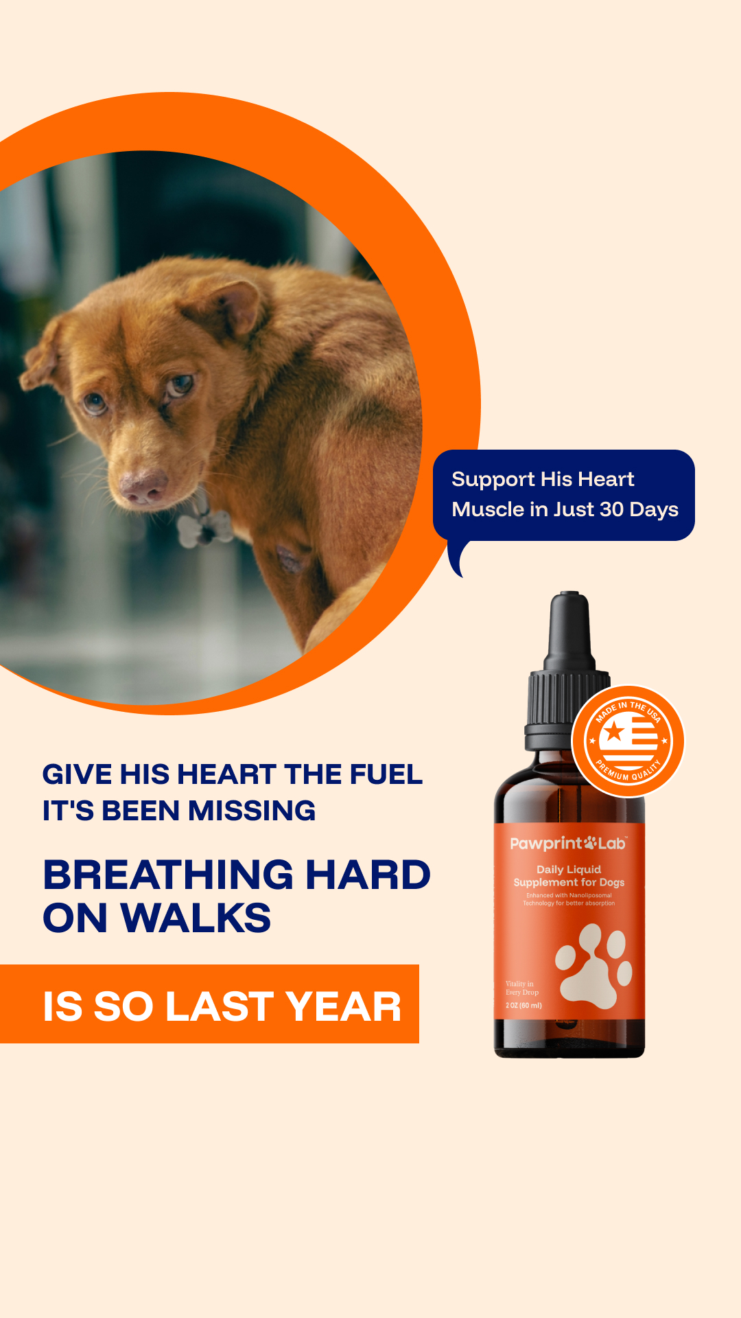 Vet-Approved Pet Products Facebook ad