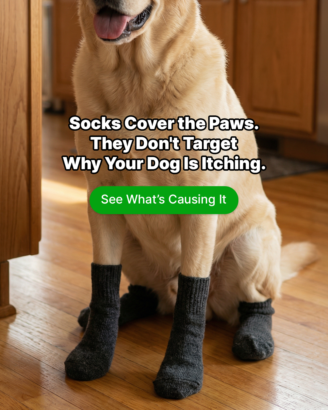 PetLab Co. Facebook ad