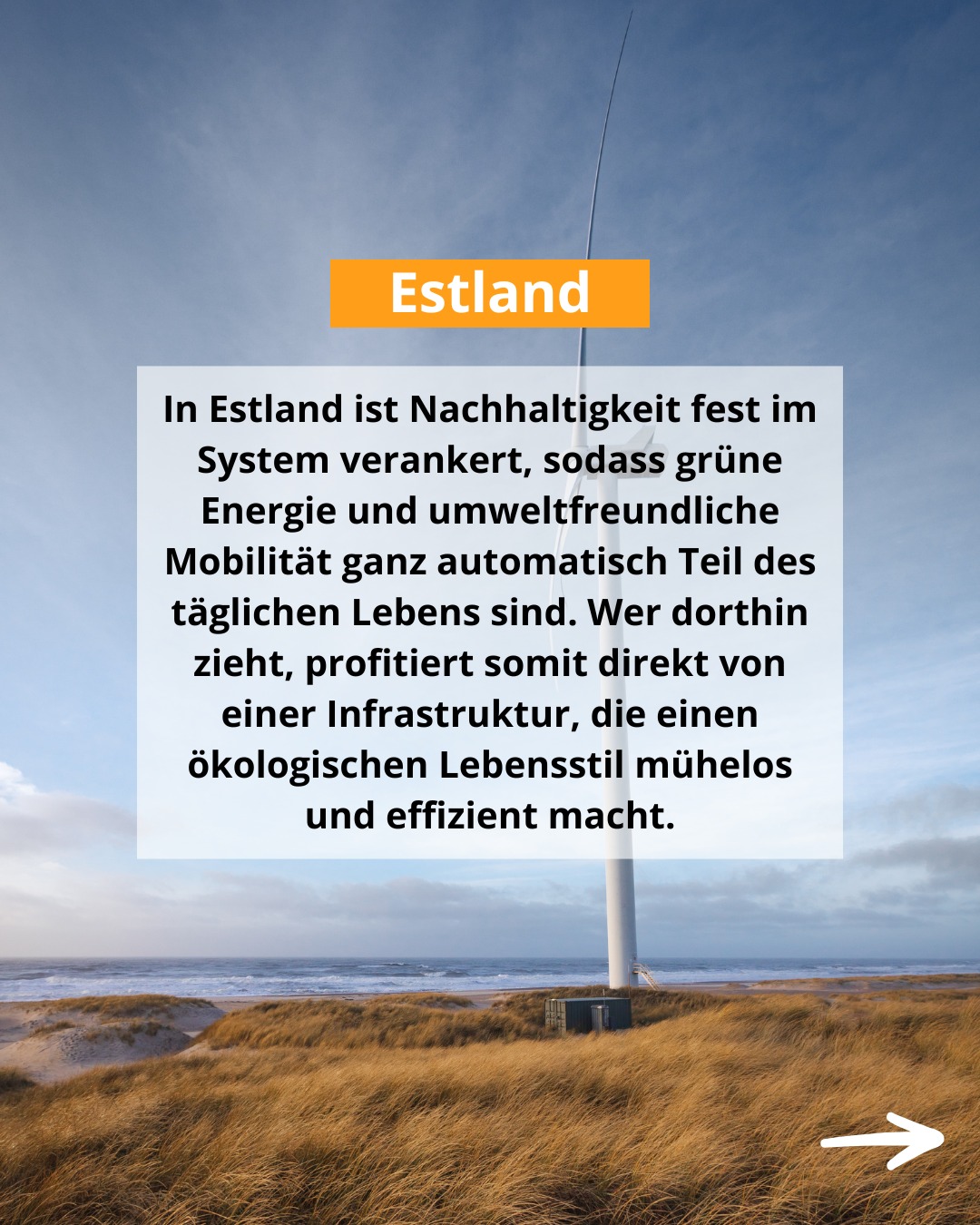 Auslandsexperte BDAE Facebook ad: Welche Kriterien bestimmen die Wahl der Heimat?