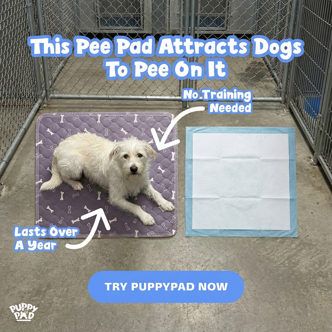 PuppyPad Facebook ad
