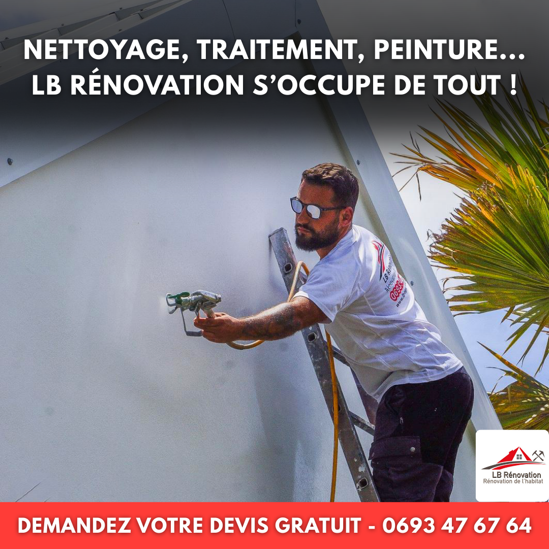 LB Rénovation 974 Facebook ad from Jan 22, 2026