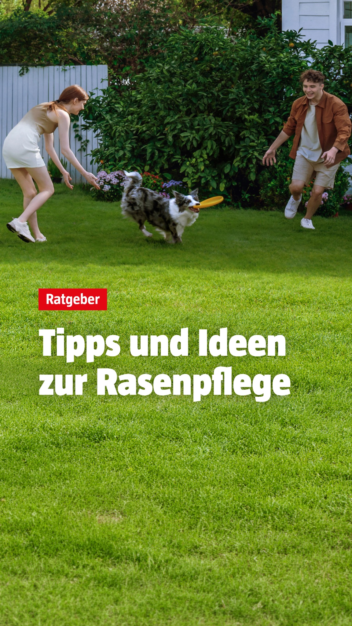 BAUHAUS Deutschland Facebook ad