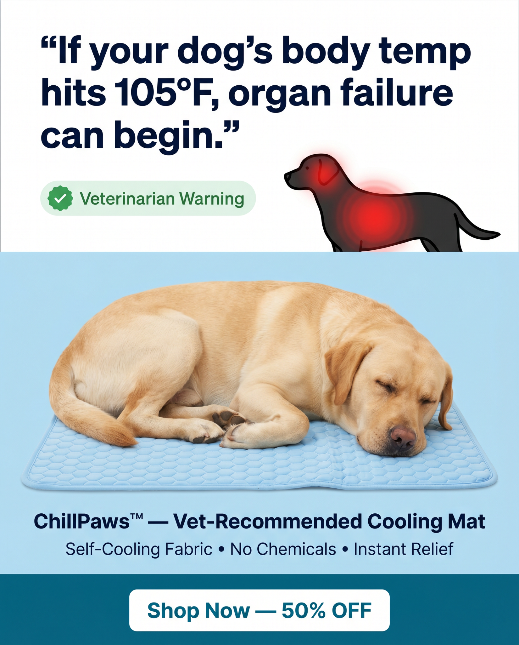 Rhykin Pet Co Facebook ad