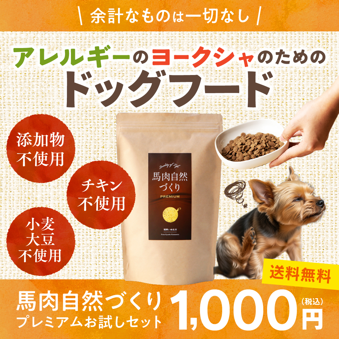 健康いぬ生活 Facebook ad