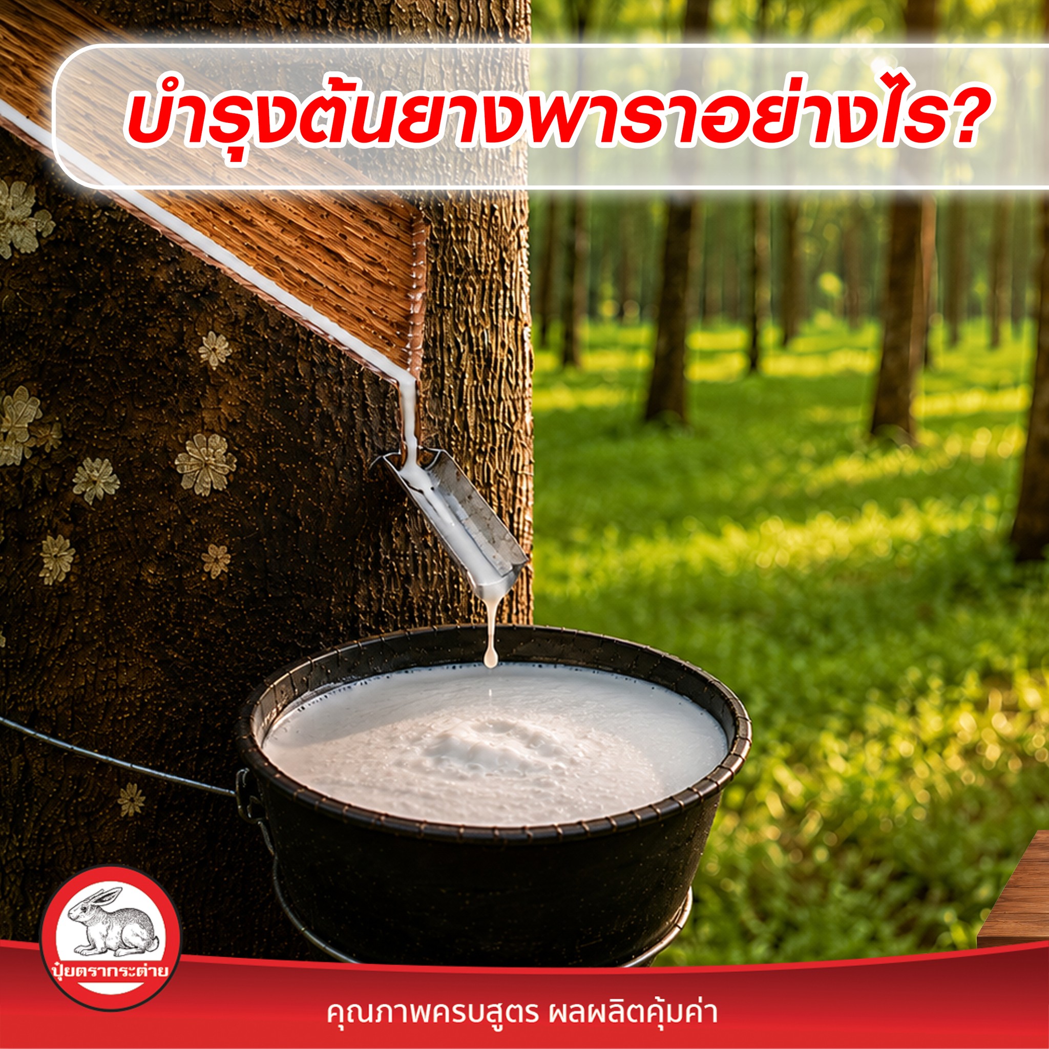 ปุ๋ยตรากระต่าย Facebook ad: เทคนิคการบำรุงยางพารา ที่ชาวสวนยางต้องรู้…