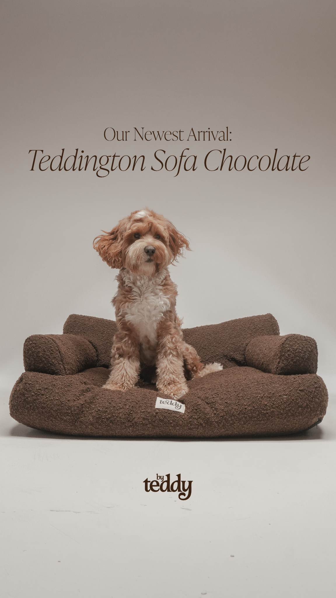 By Teddy Facebook ad