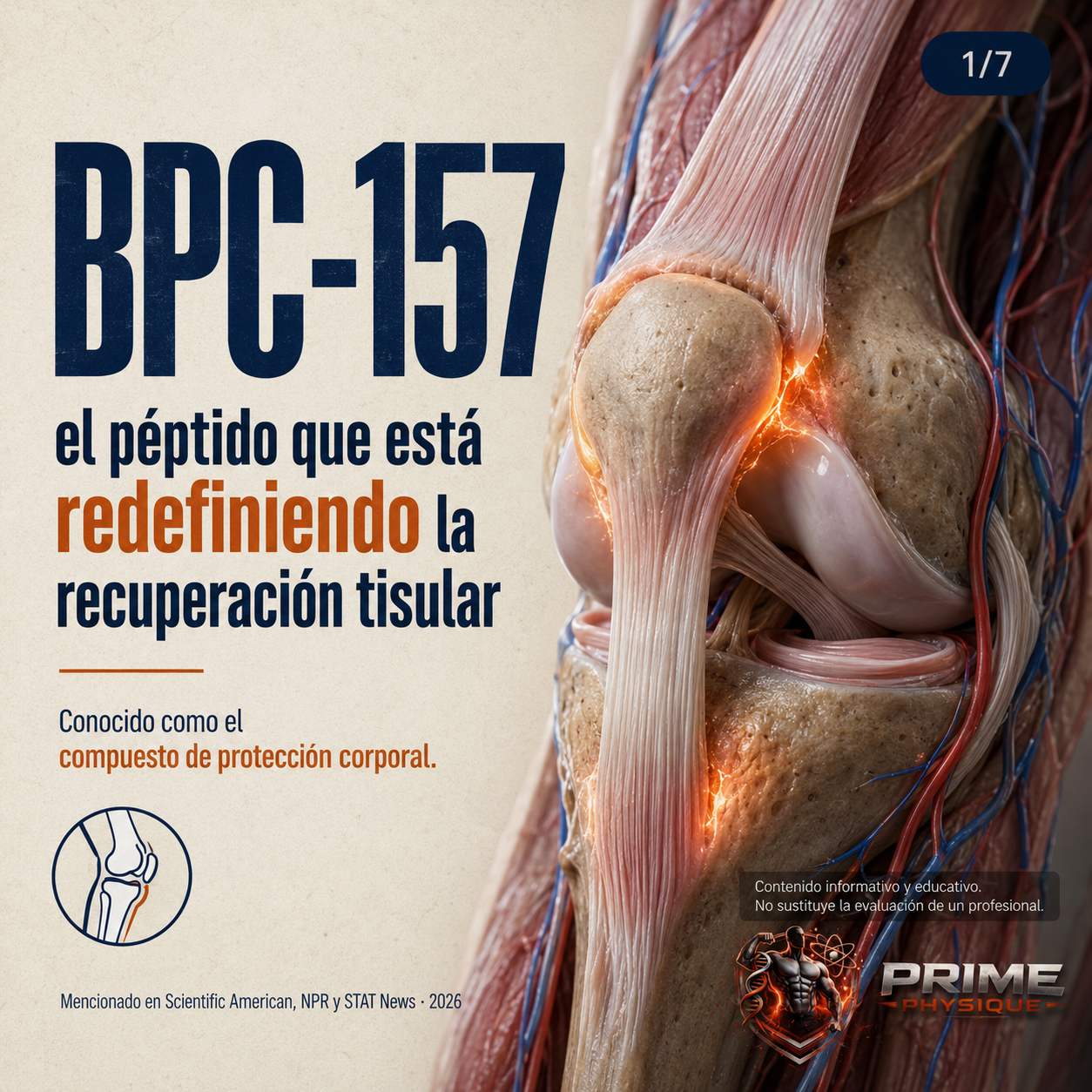 Prime Physique Facebook ad: La combinación más comentada en medicina deportiva técnica…