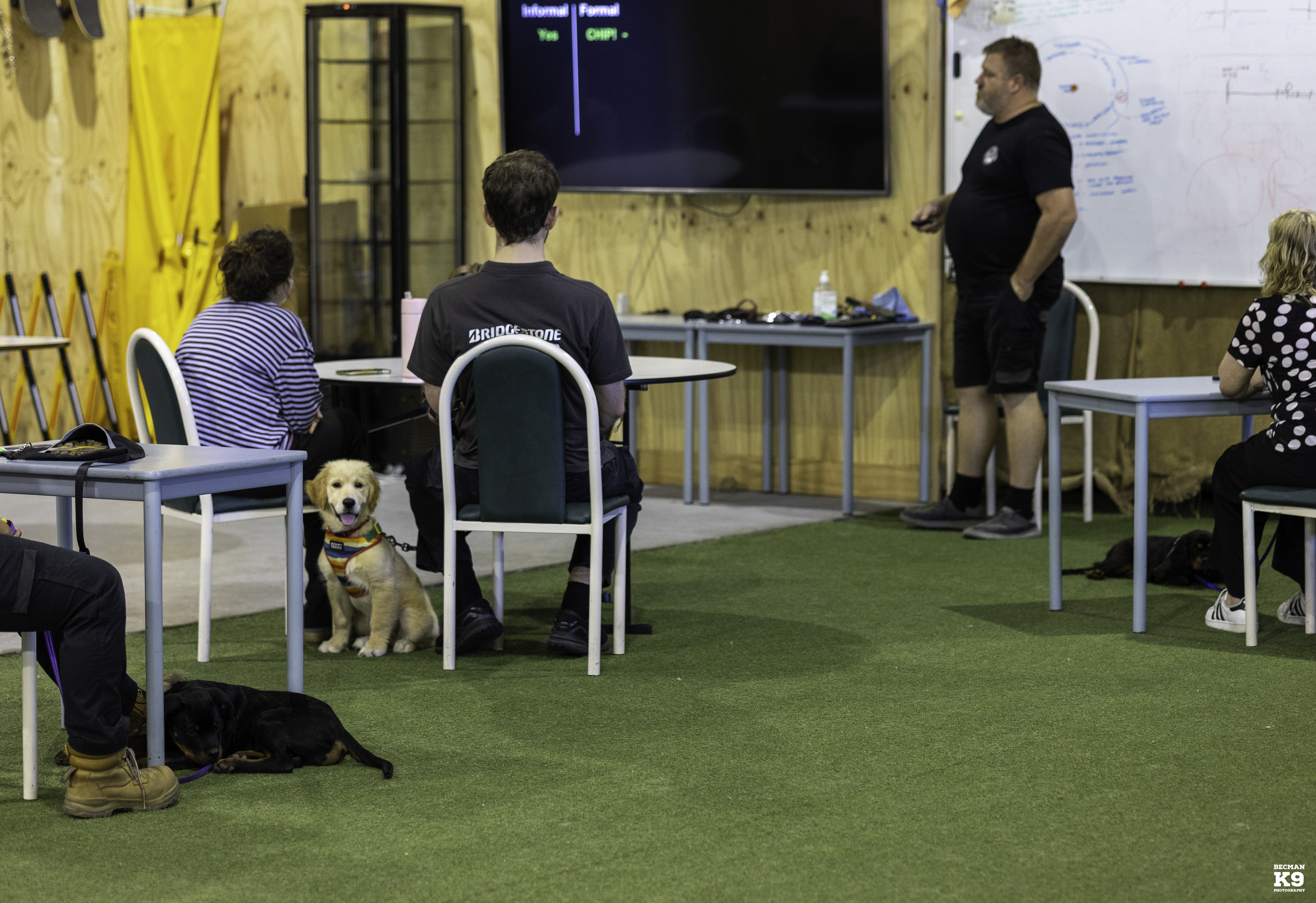 OzcorpK9 Facebook ad: This isn’t just a puppy preschool.