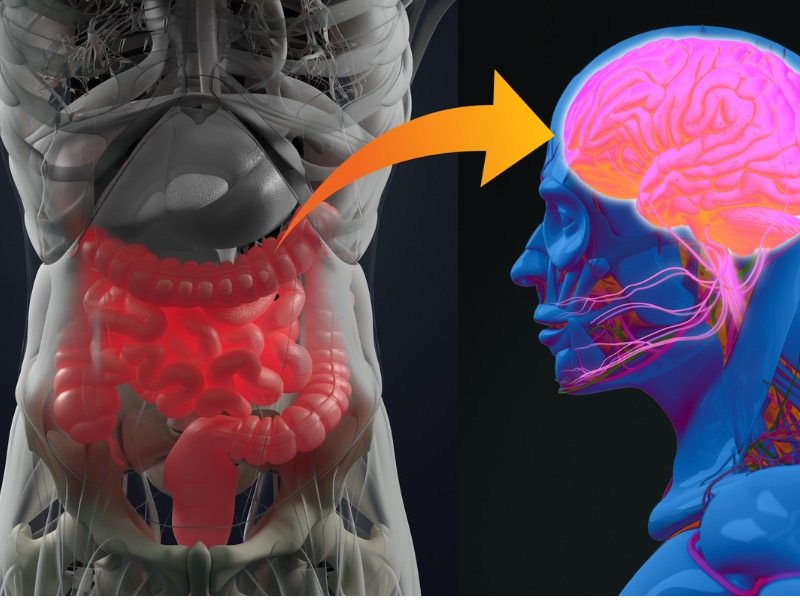 Dr. Patricia Moore PhD Facebook ad: Your Acid Reflux Isn’t an Acid Problem