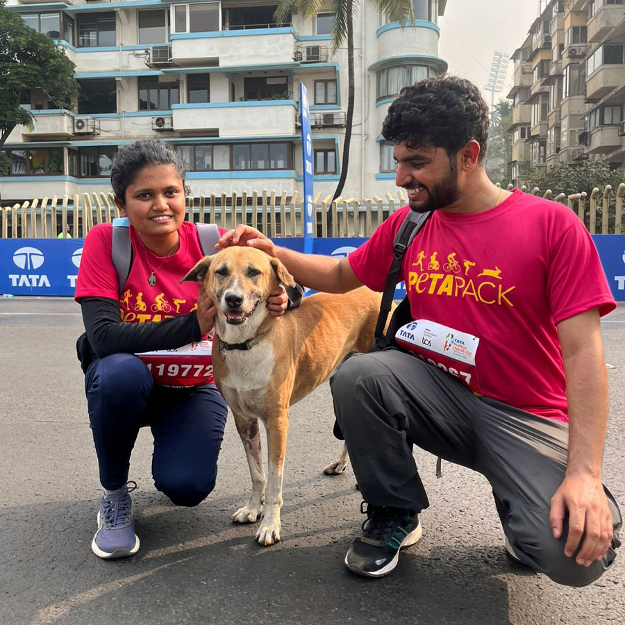 PETA India Facebook ad: The Race for Animal Liberation Is On!