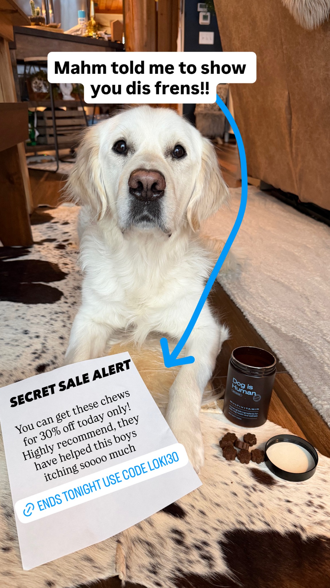 Dog is Human Facebook ad