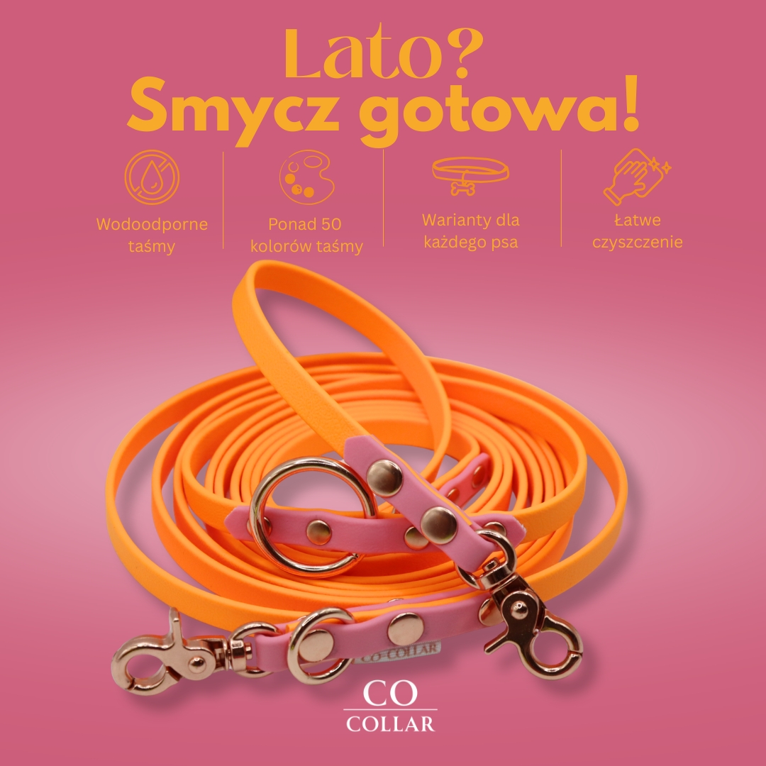 Co.Collar Facebook ad: Smycz BioThane na całe lato