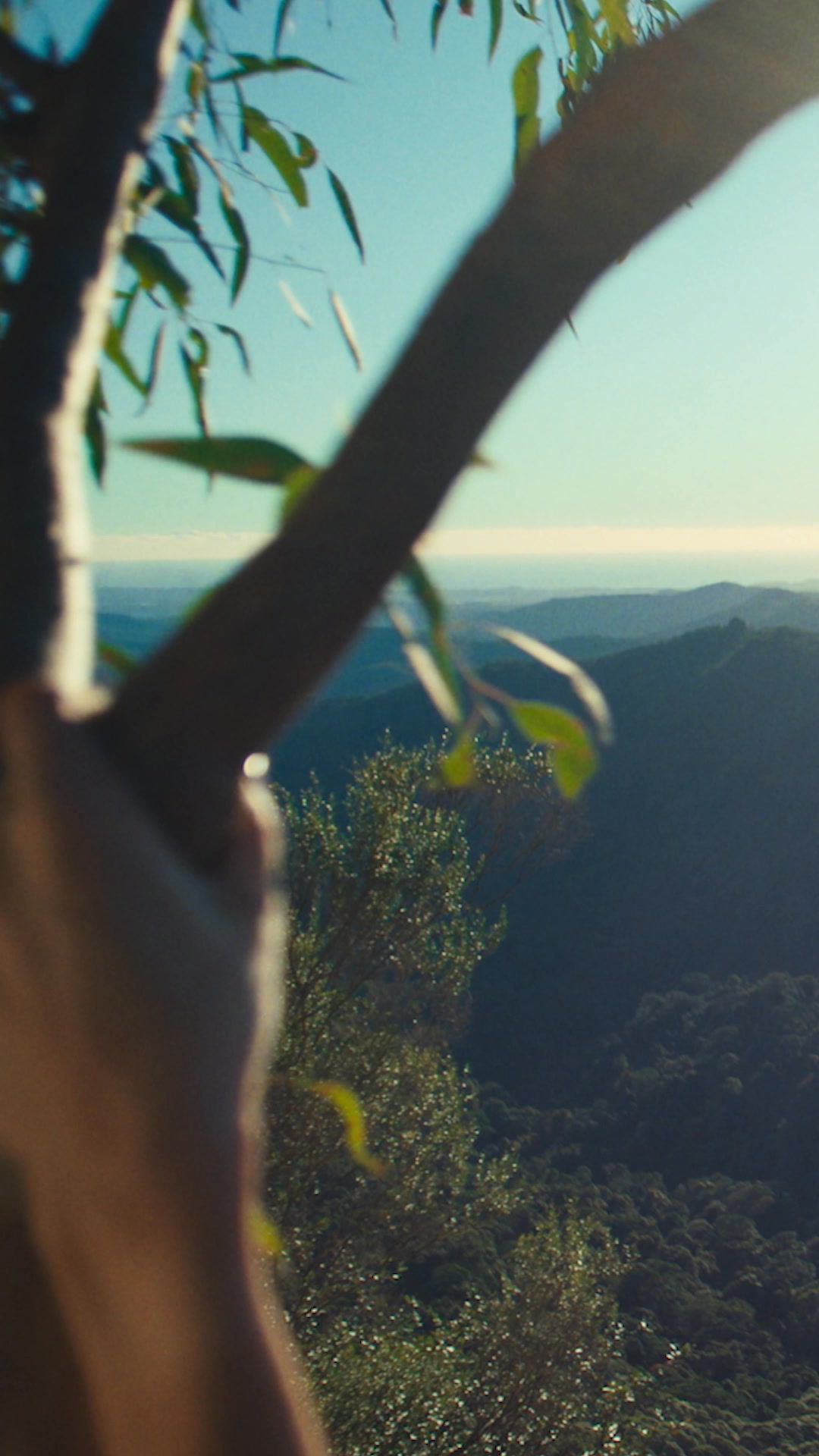 Palmolive Australia and New Zealand Facebook ad: 95% Natural Origin