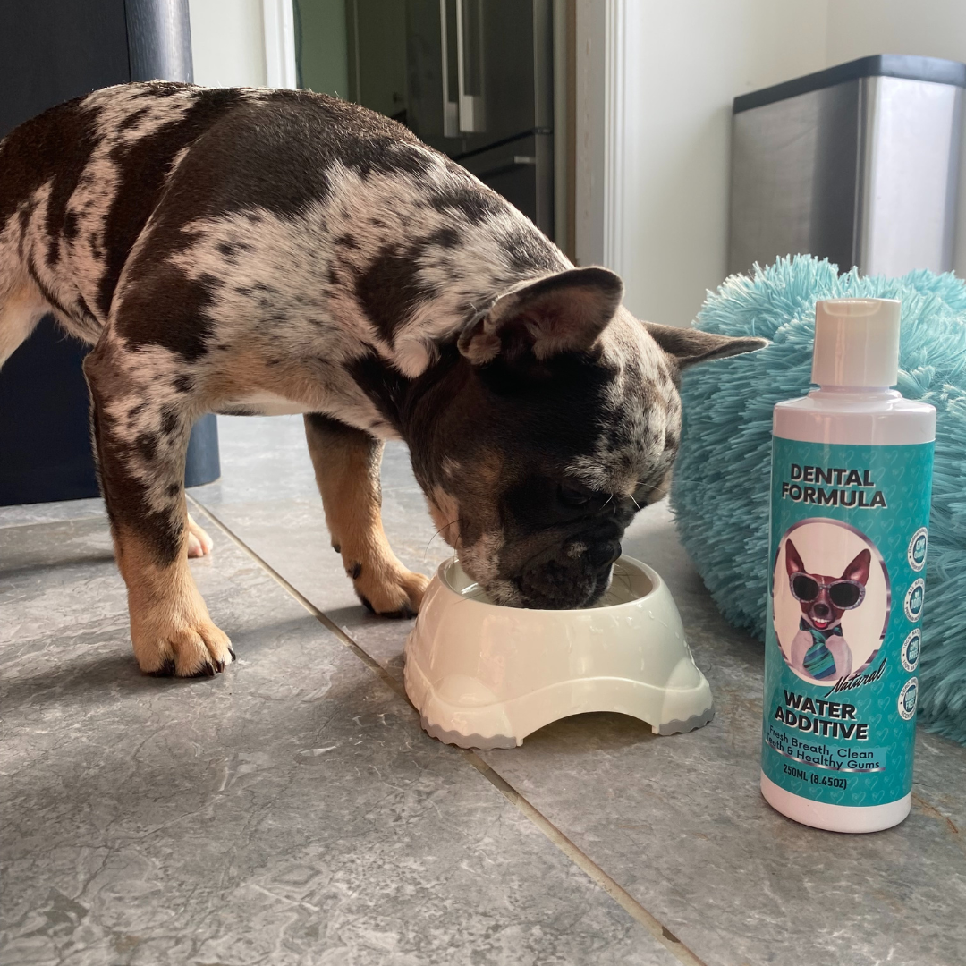 Nutri Paw Facebook ad