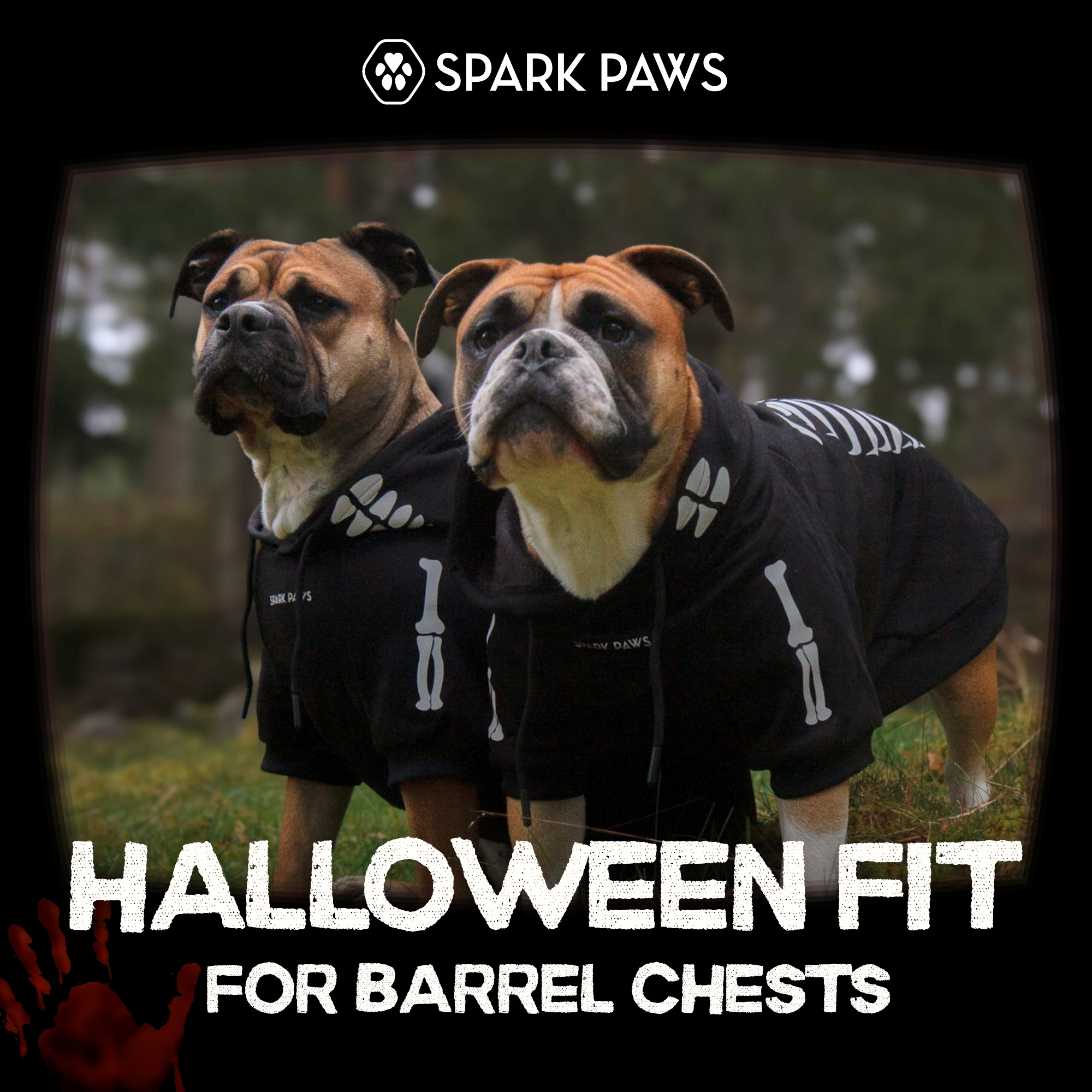 Spark Paws Facebook ad