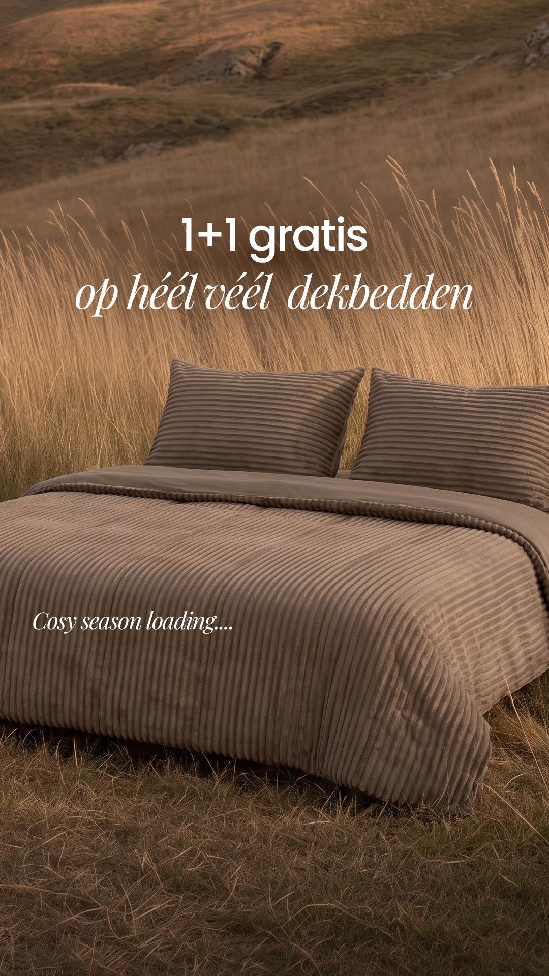 Zelesta.nl Facebook ad