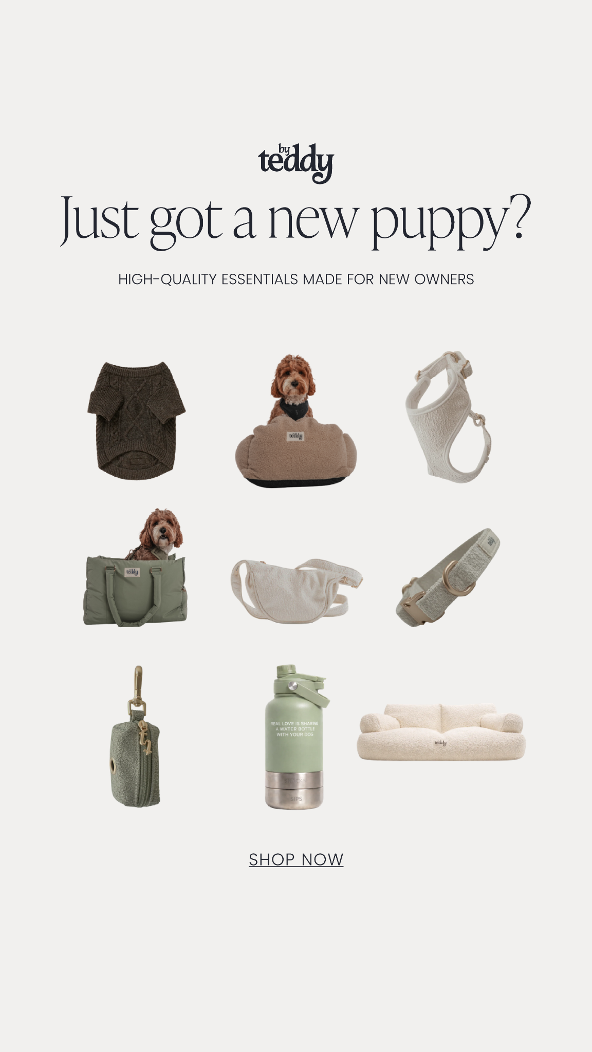 By Teddy Facebook ad