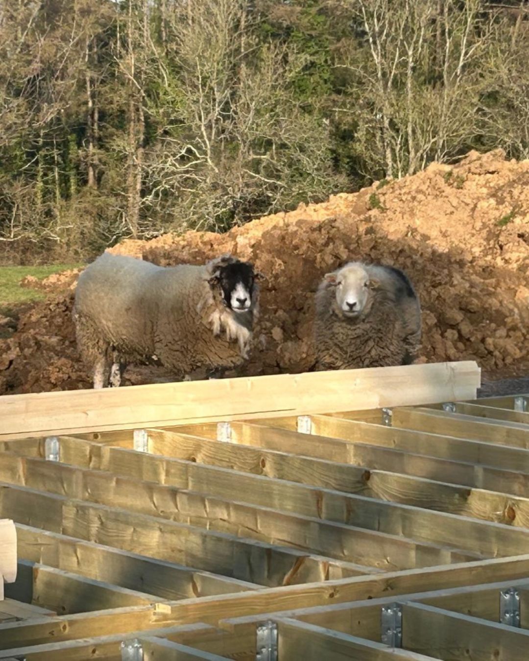 Norwegian Log Facebook ad: Site inspection, Compton Dando edition