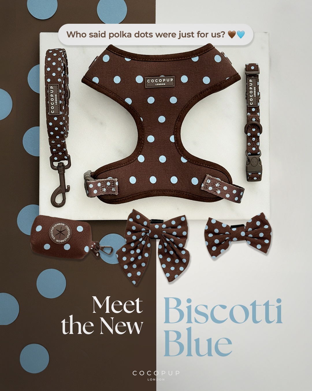 Cocopupuk Facebook ad: Meet Biscotti Blue
