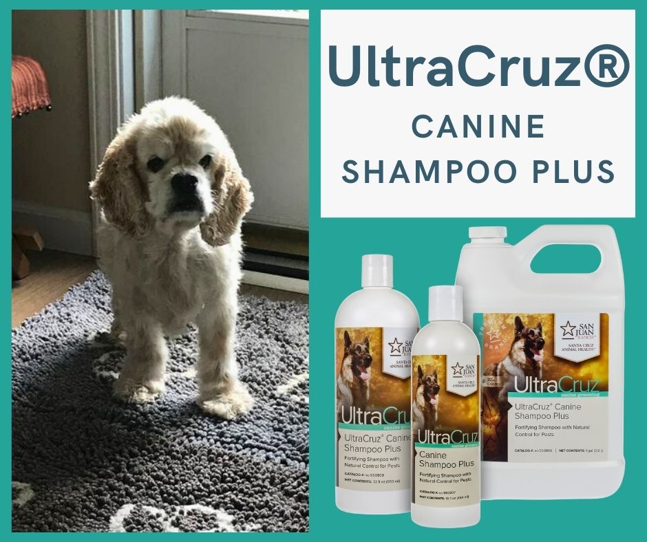 UltraCruz Facebook ad: Canine Shampoo Plus for Dogs, UltraCruz | Santa Cruz…