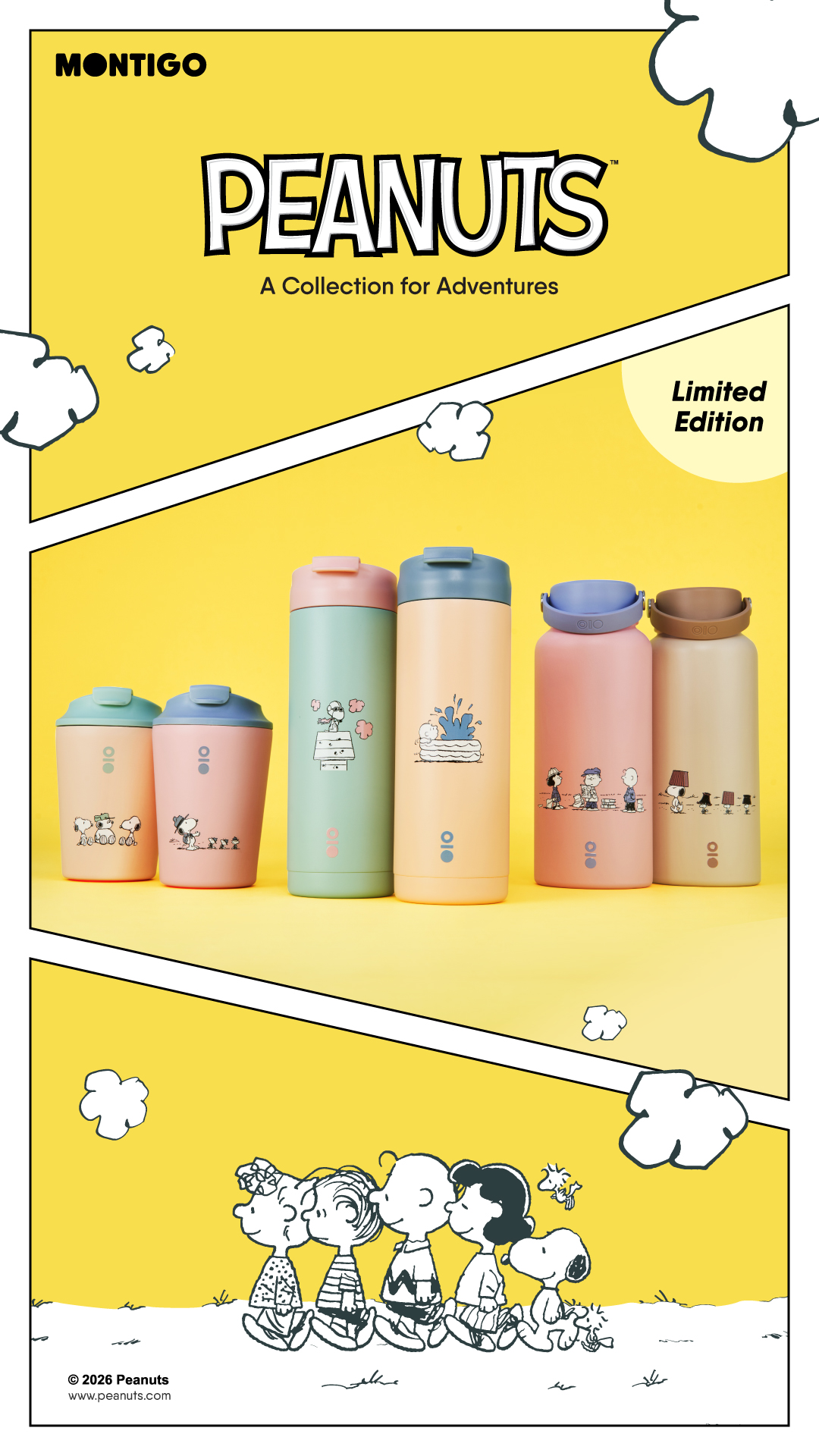 Montigo Facebook ad from Jun 9, 2026