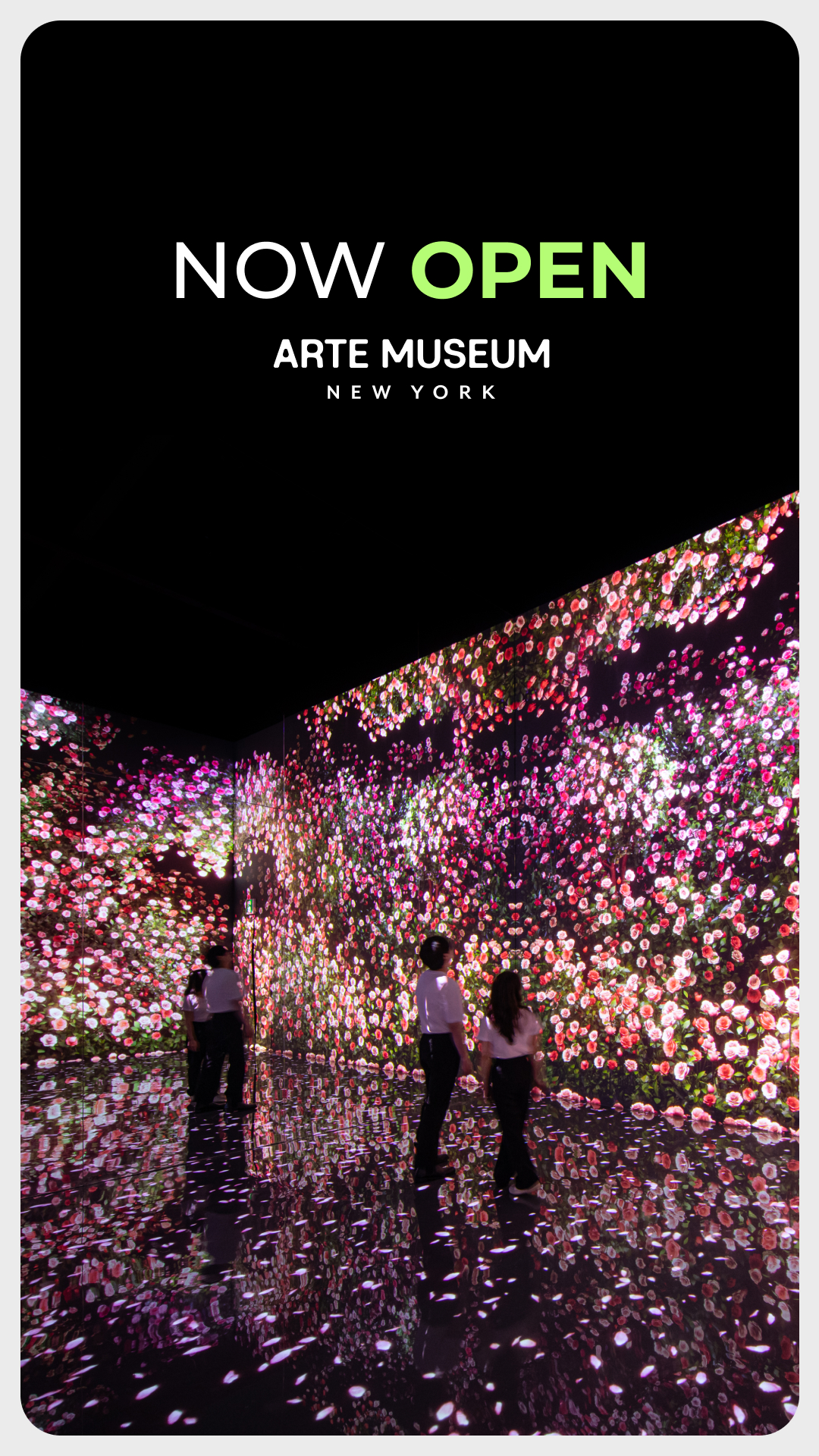 Arte Museum New York Facebook ad