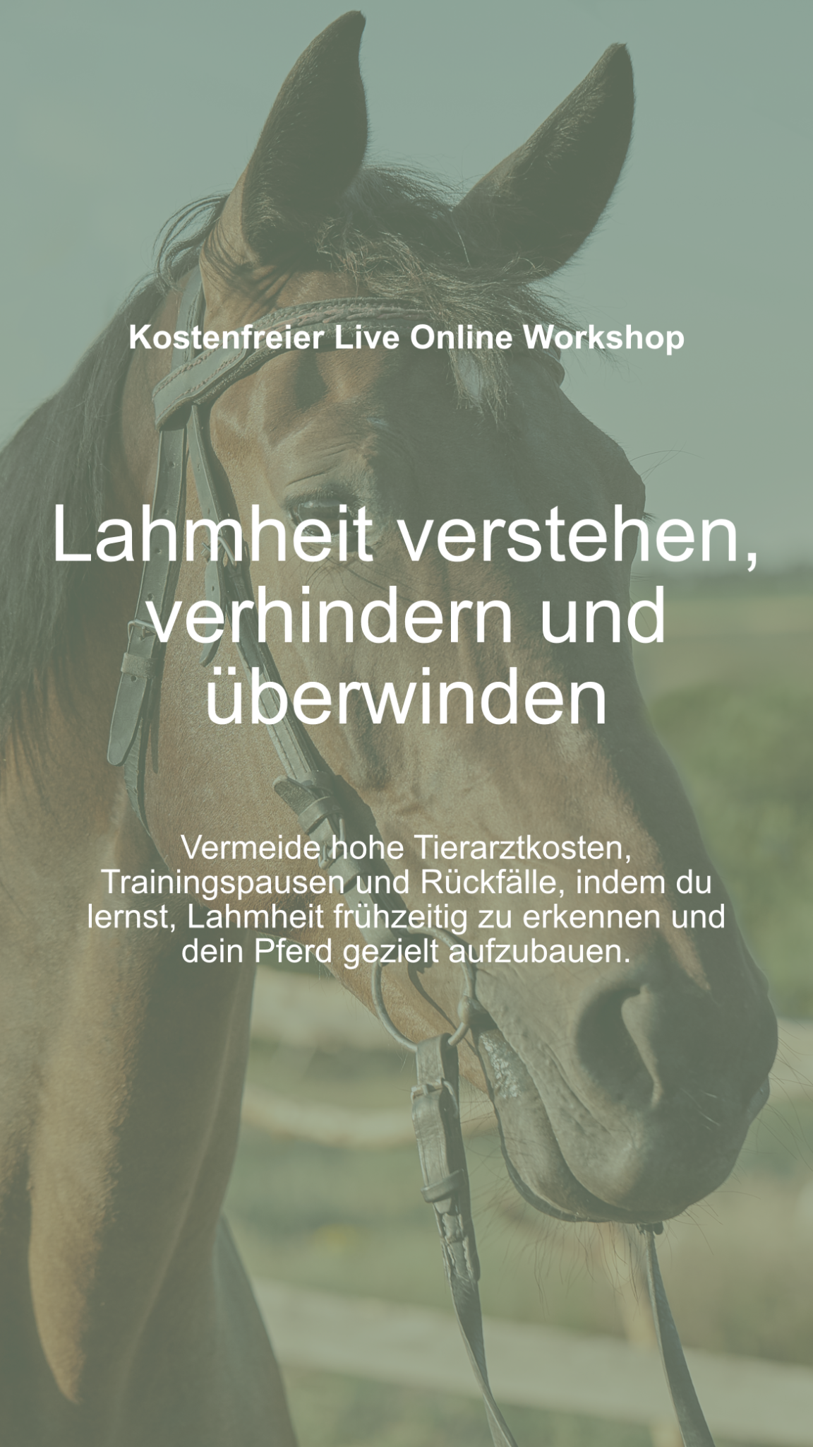 Pferdesporttherapeutin Karin Link Facebook ad