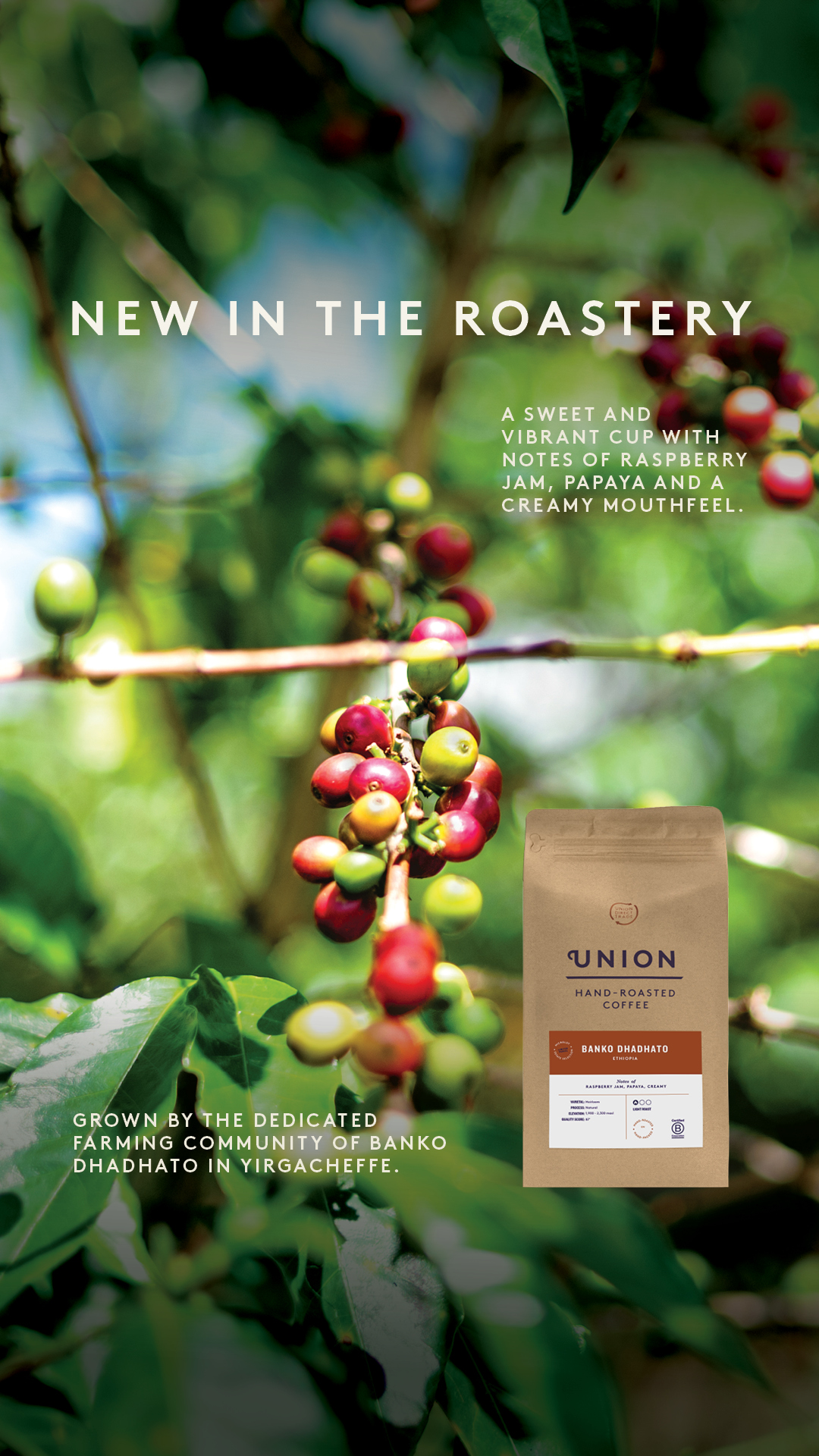 Union Hand-Roasted Coffee Facebook ad