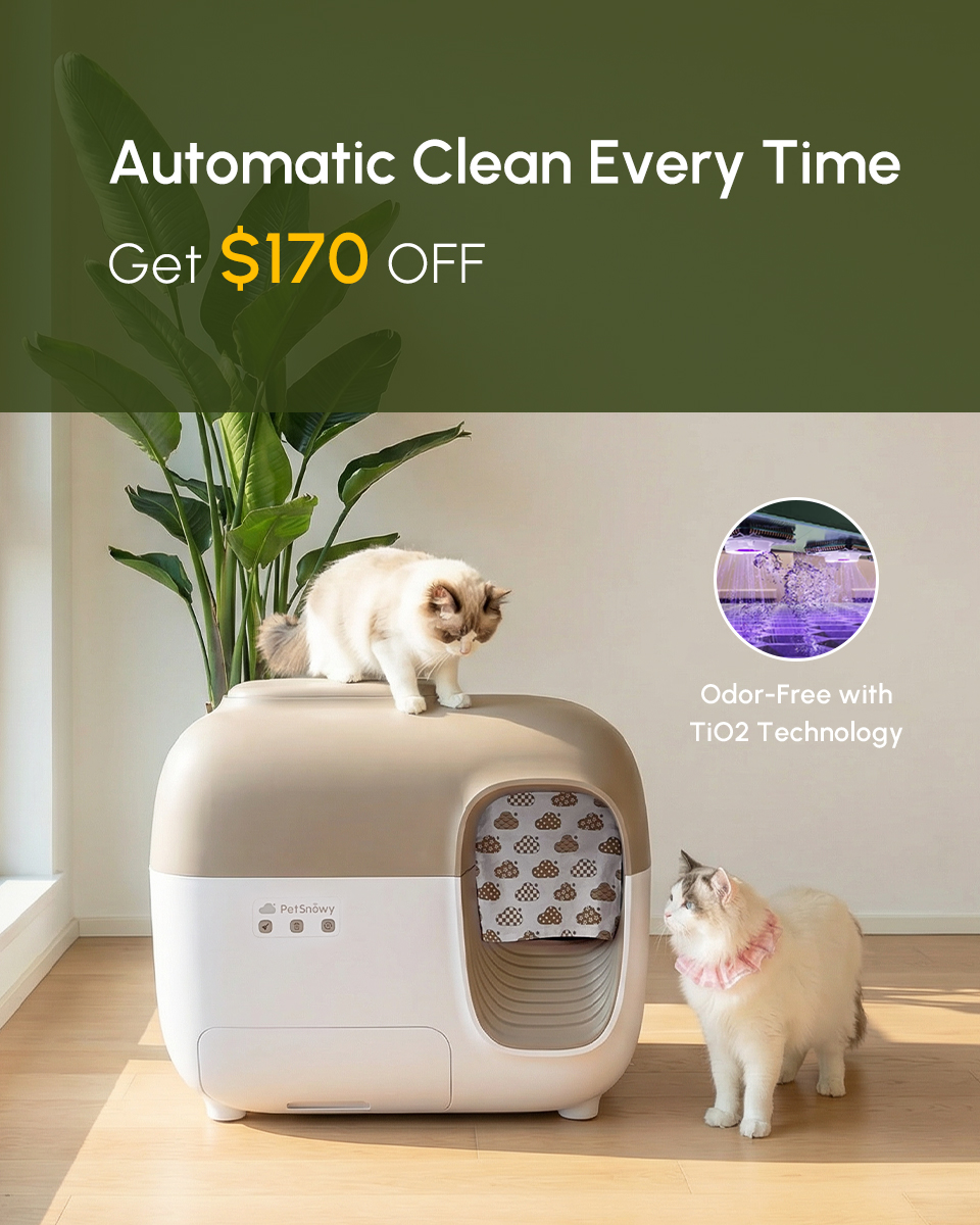 PetSnowy Facebook ad
