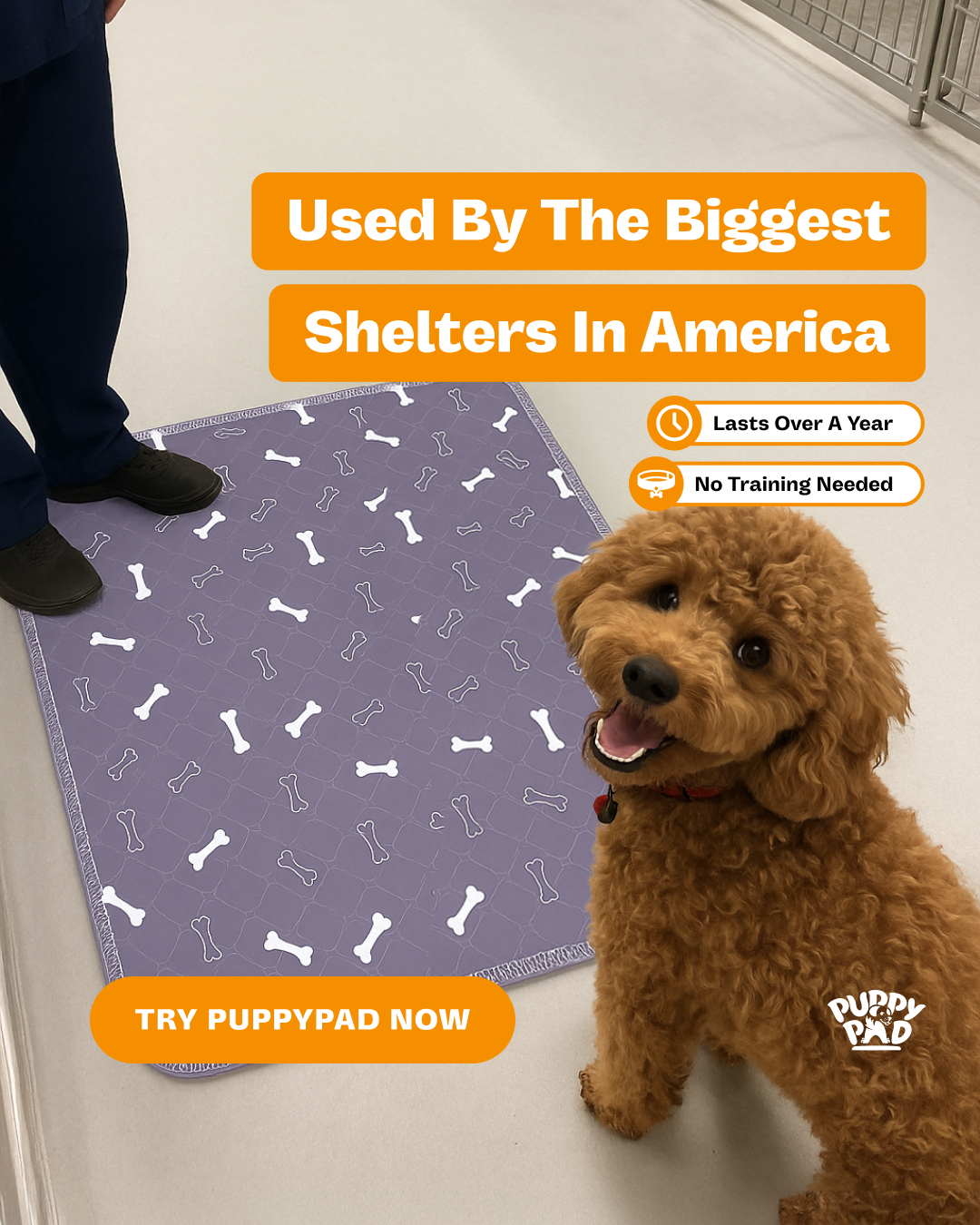 PuppyPad Facebook ad