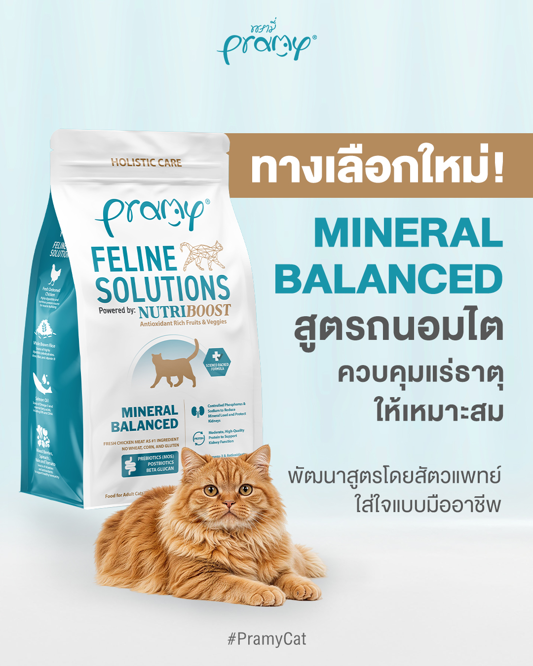 PRAMY อาหารแมวพรามี่ Facebook ad