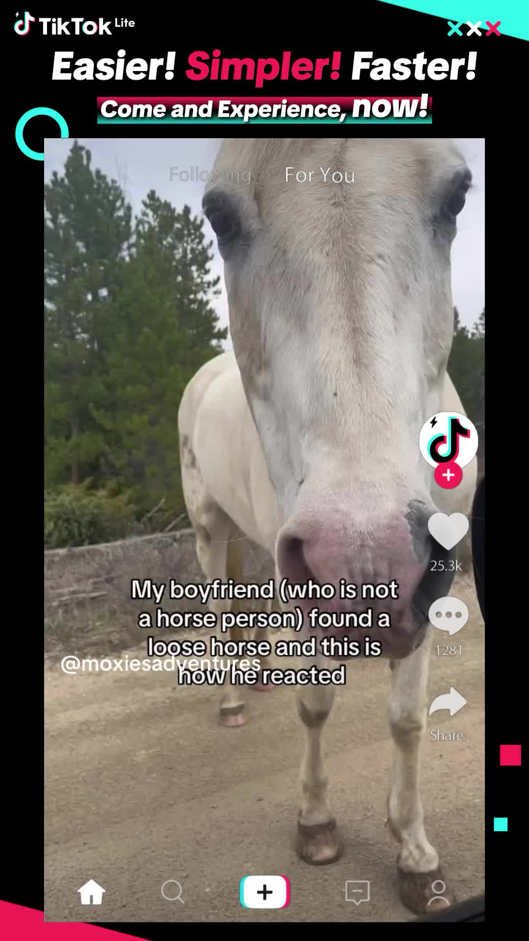 TikTok Lite Facebook ad