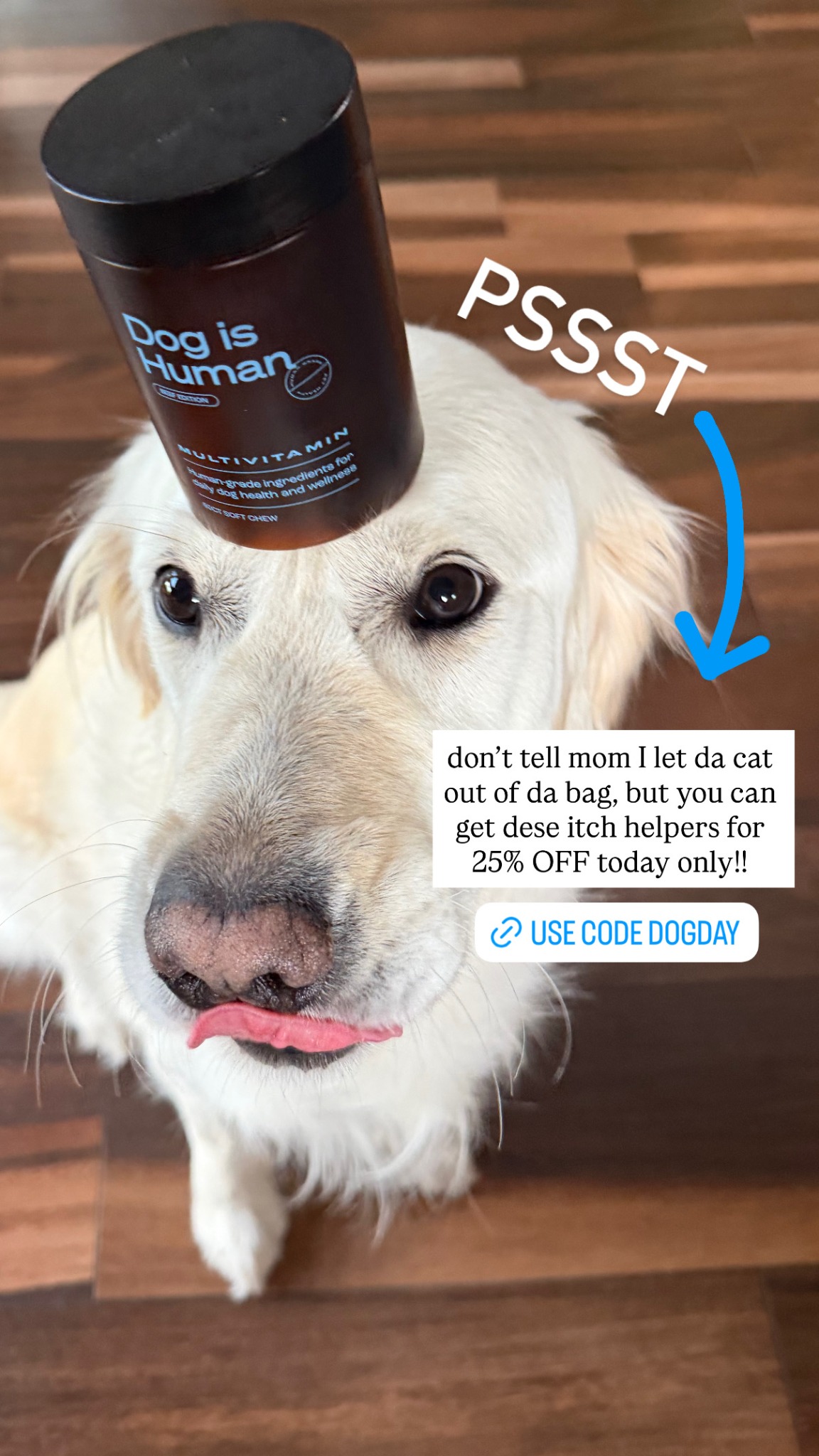 Dog is Human Facebook ad