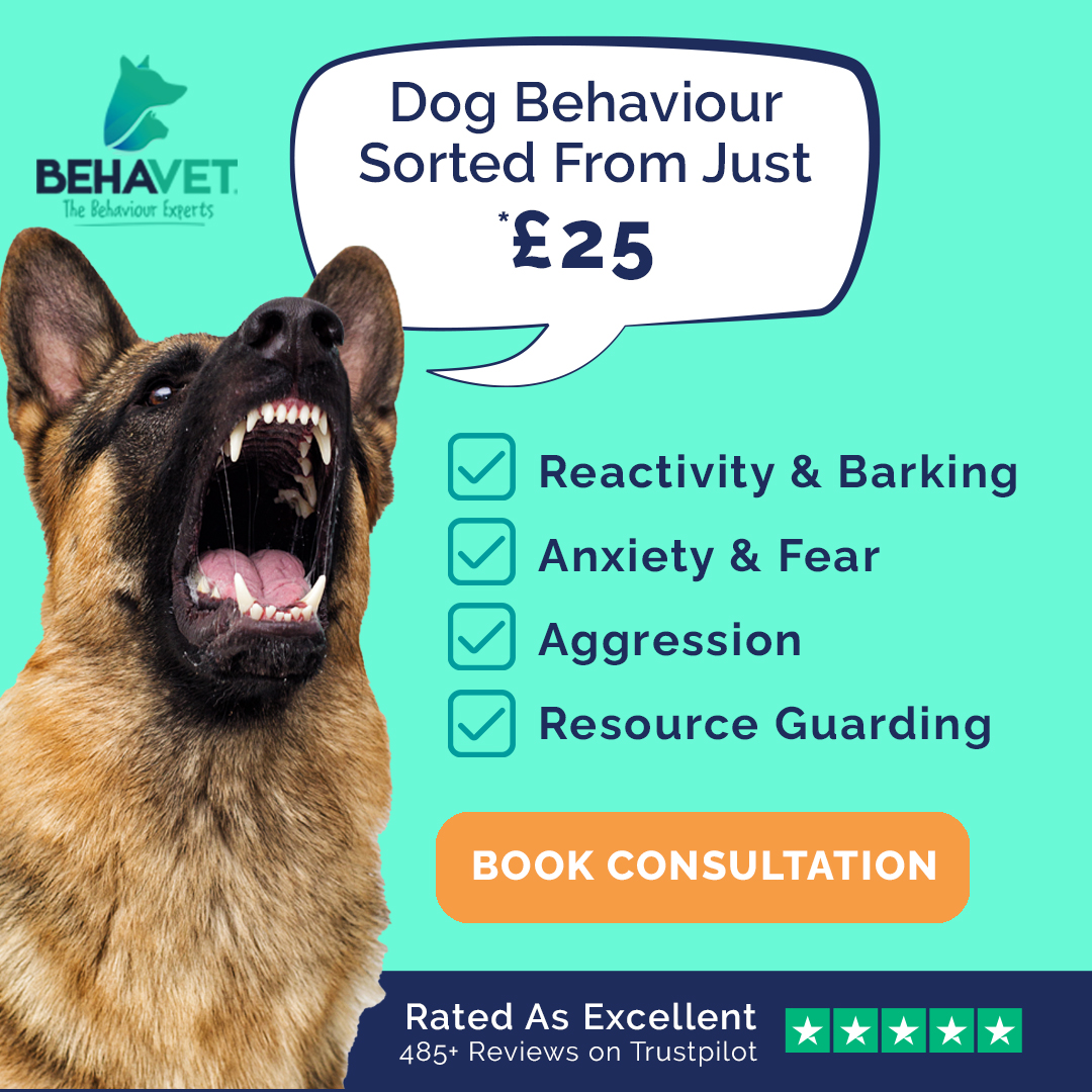 Behavet: The Pet Behaviour Experts Facebook ad