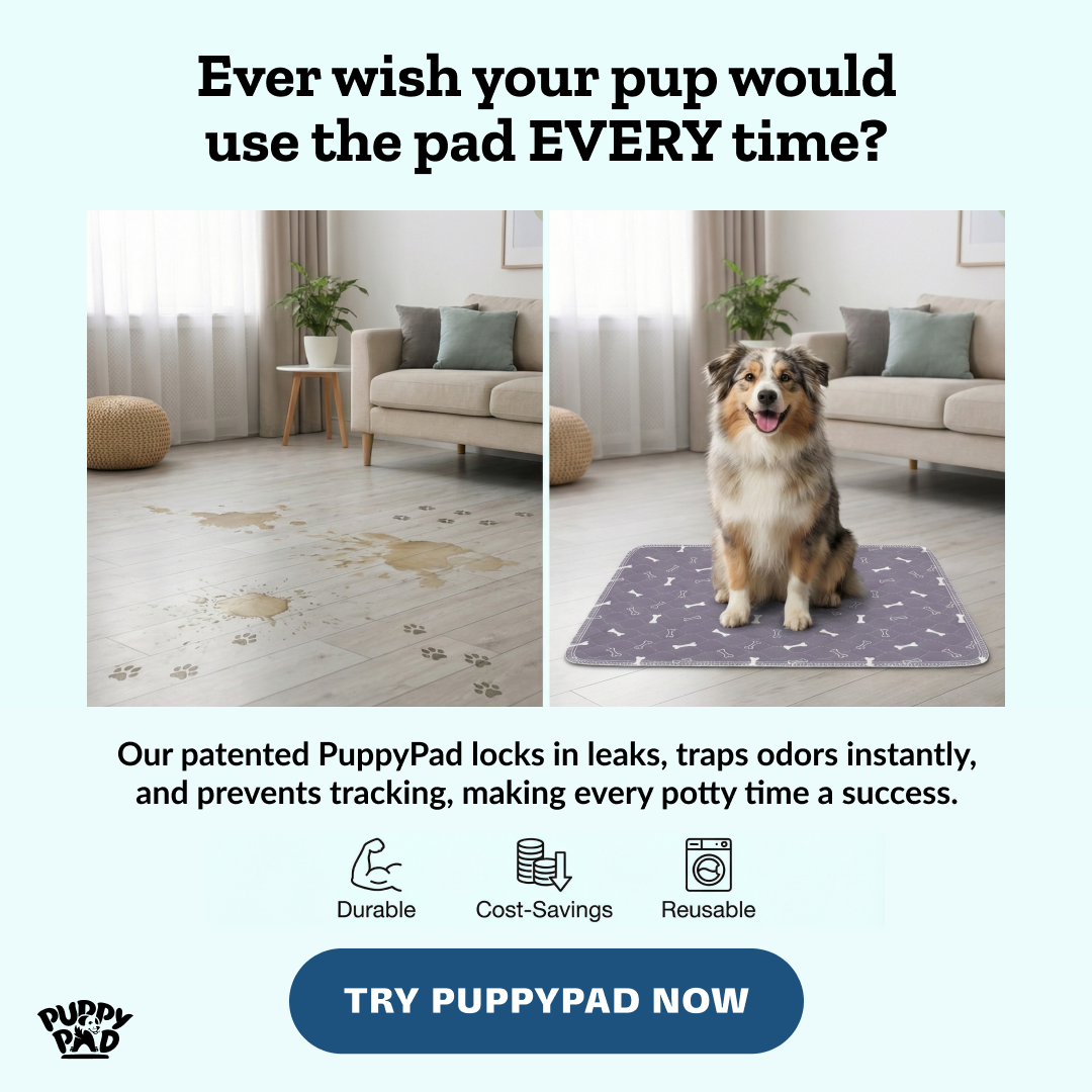 PuppyPad Facebook ad