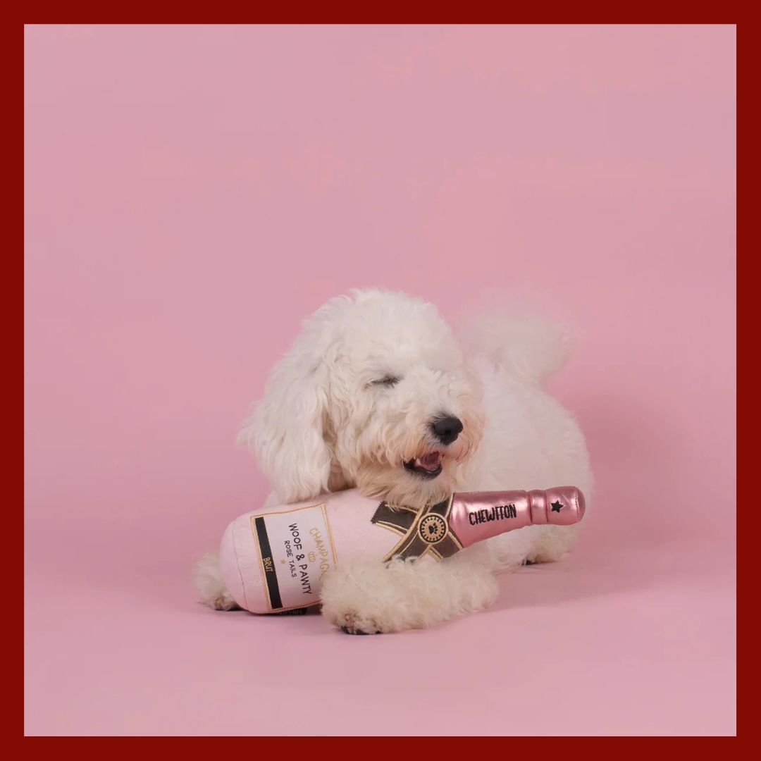 CHEW - hondenparadijs Facebook ad: Woof & Pawty Rosé