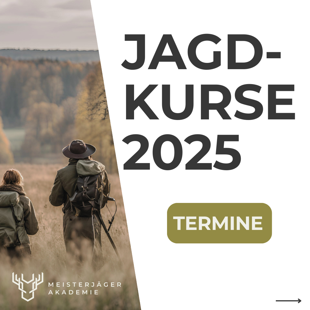 Meisterjäger Akademie Facebook ad: Unsere erfahrenen Ausbilder begleiten dich sicher zum…